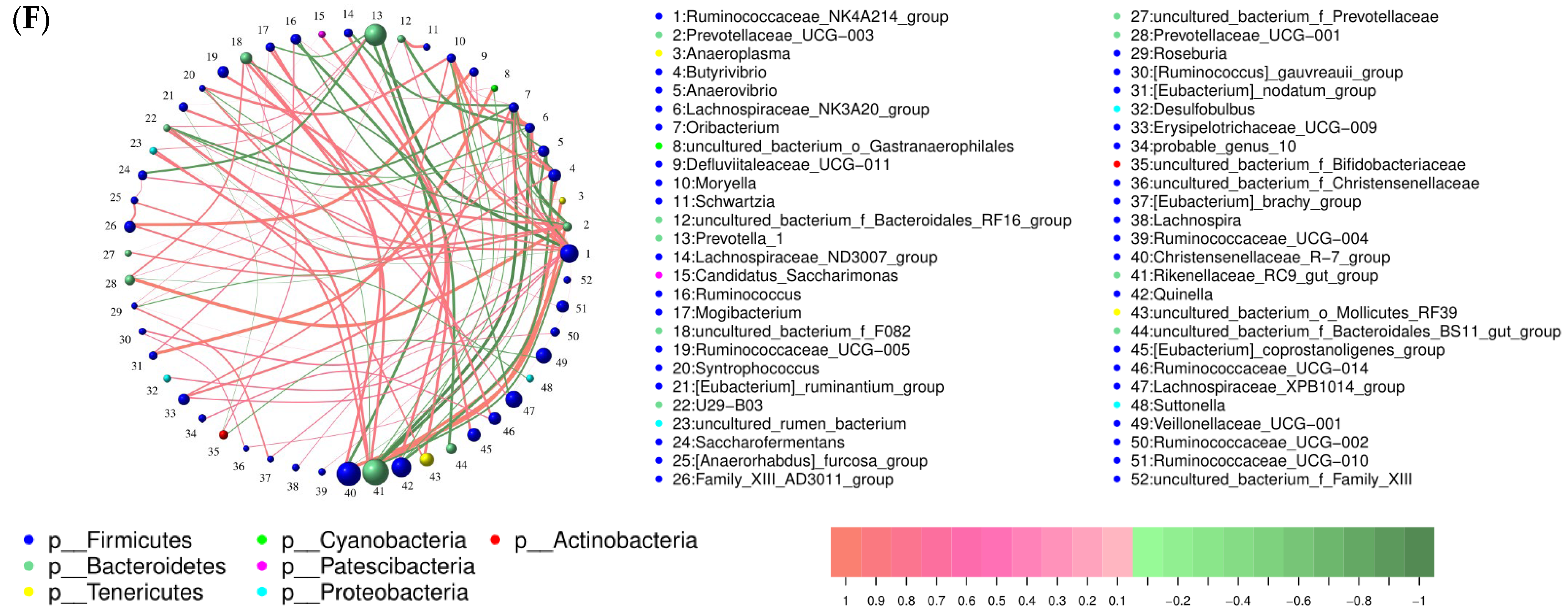 Animals 14 02661 g002b