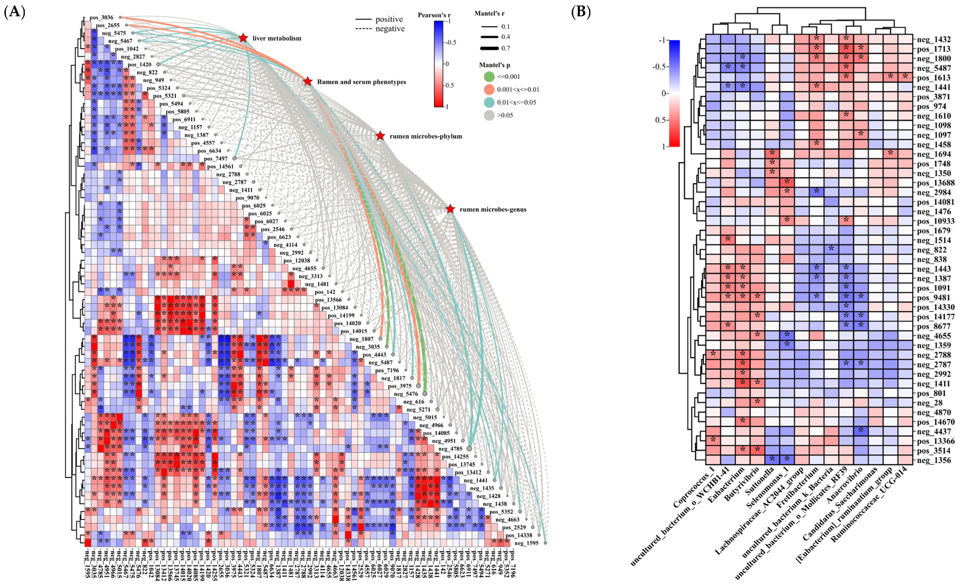 Animals 14 02661 g005