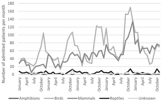 Common Causes for Veterinary Visits among Australian Wildlife