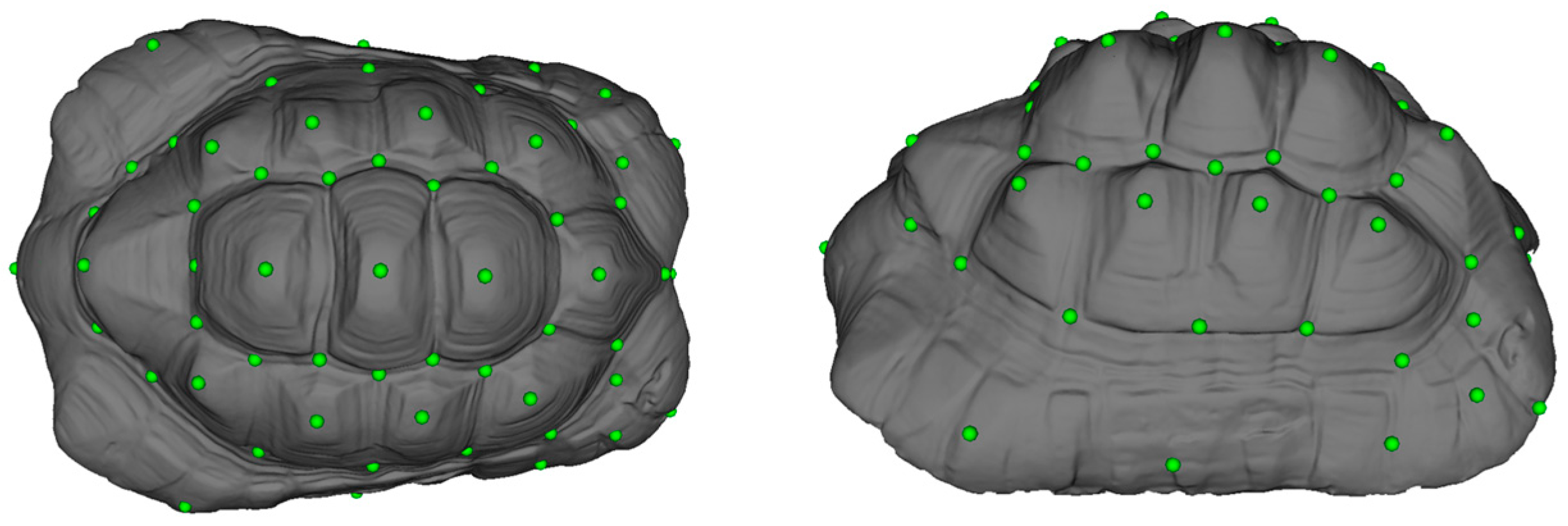 Animals 14 02664 g001