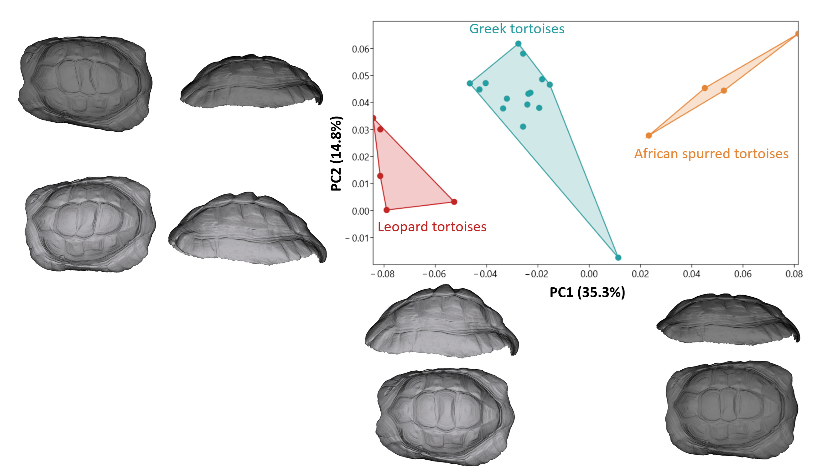 Animals 14 02664 g003