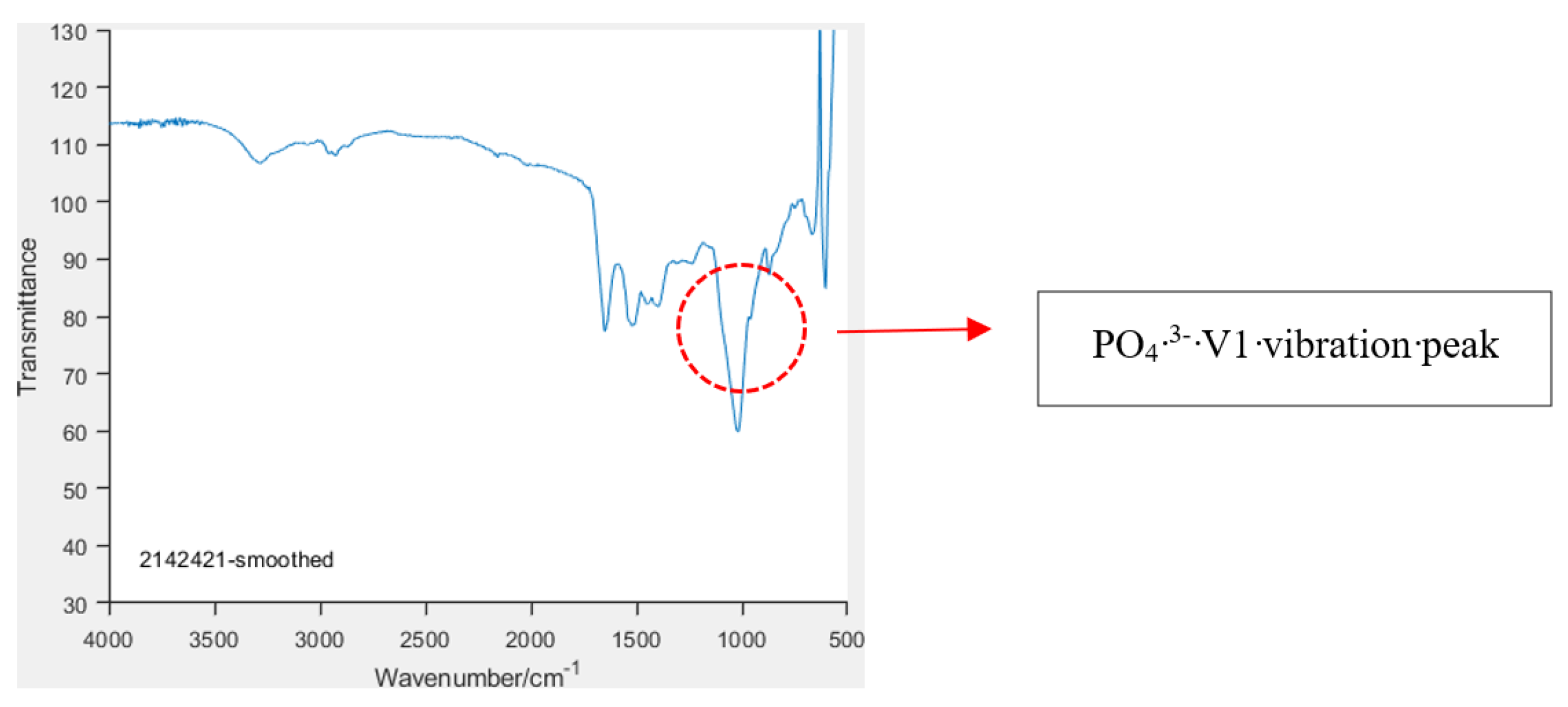 Animals 14 02665 g001