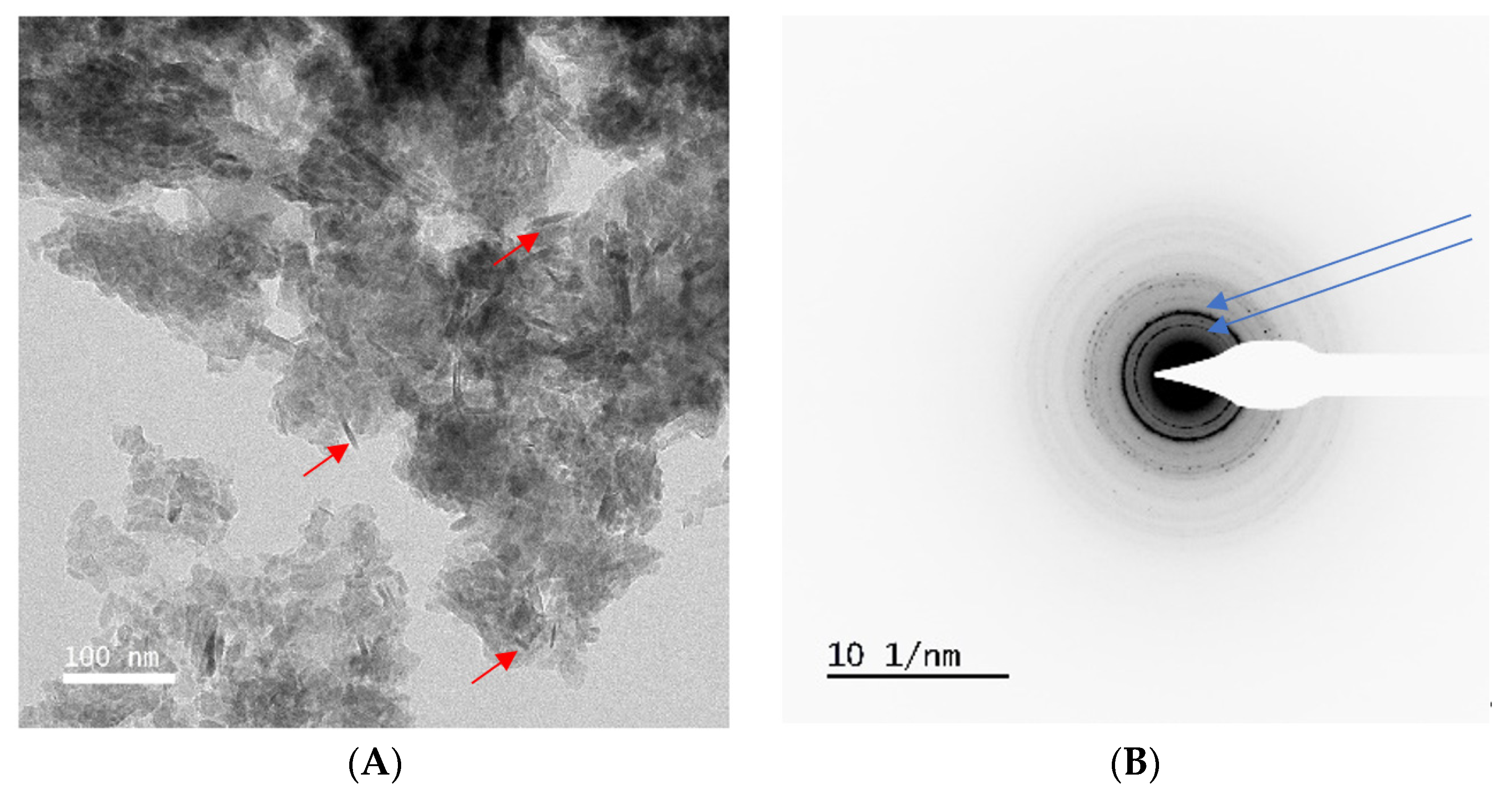 Animals 14 02665 g002