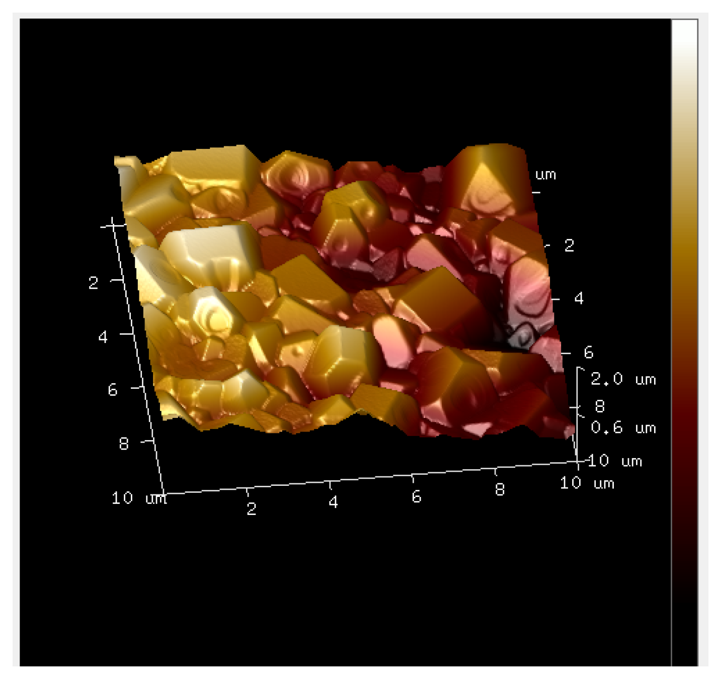 Animals 14 02665 g005