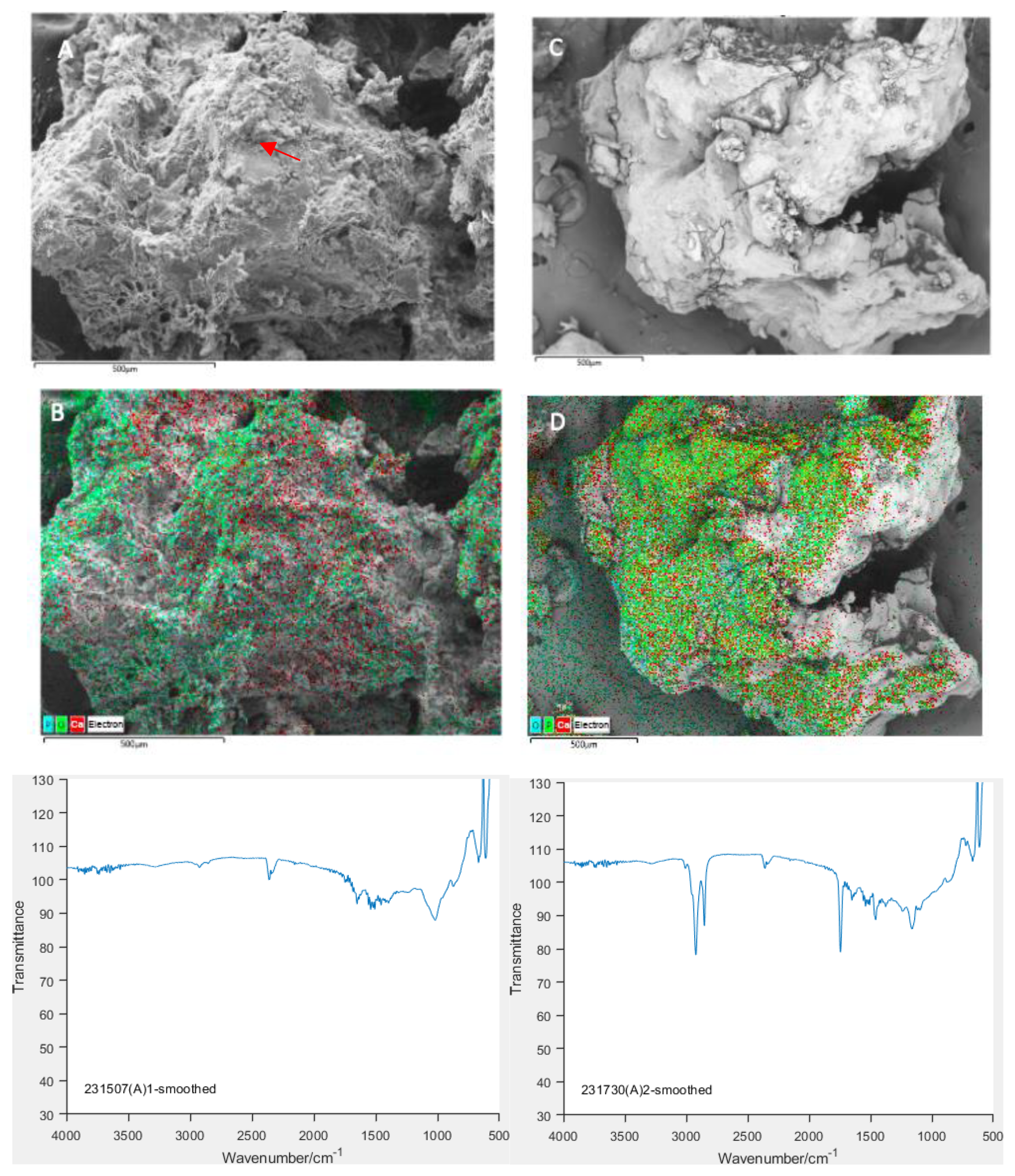 Animals 14 02665 g007