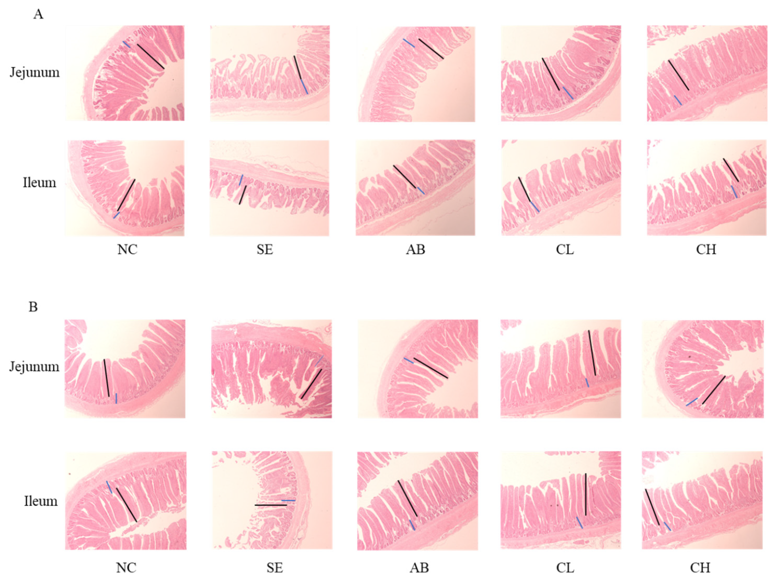 Animals 14 02670 g005