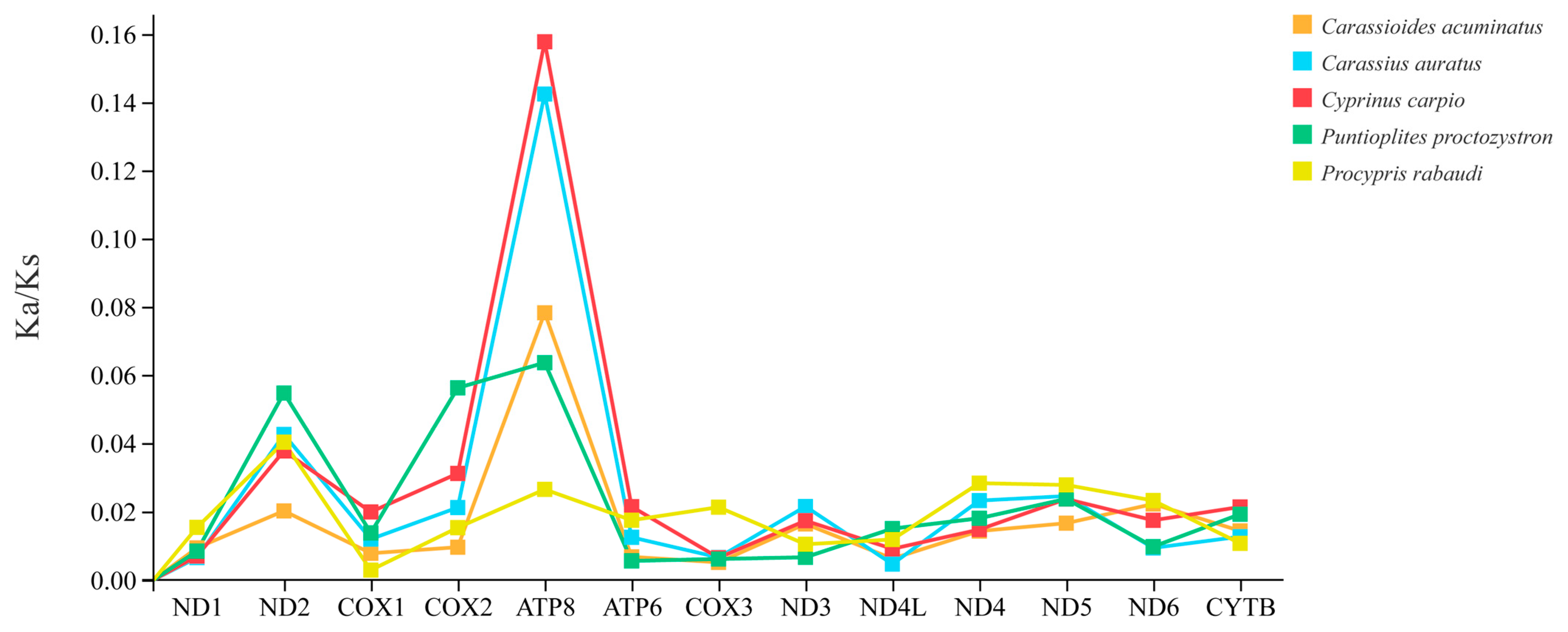 Animals 14 02672 g005