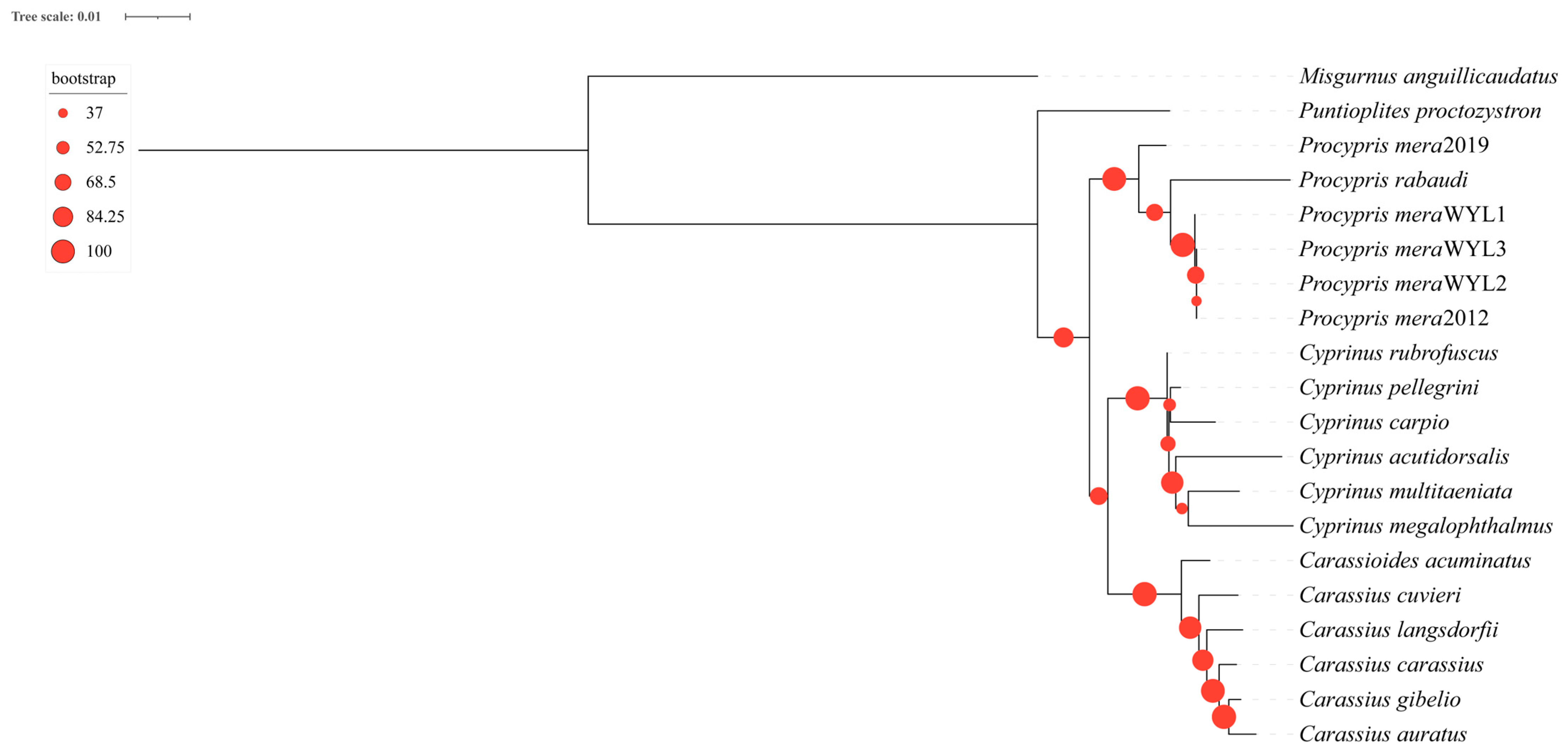 Animals 14 02672 g006