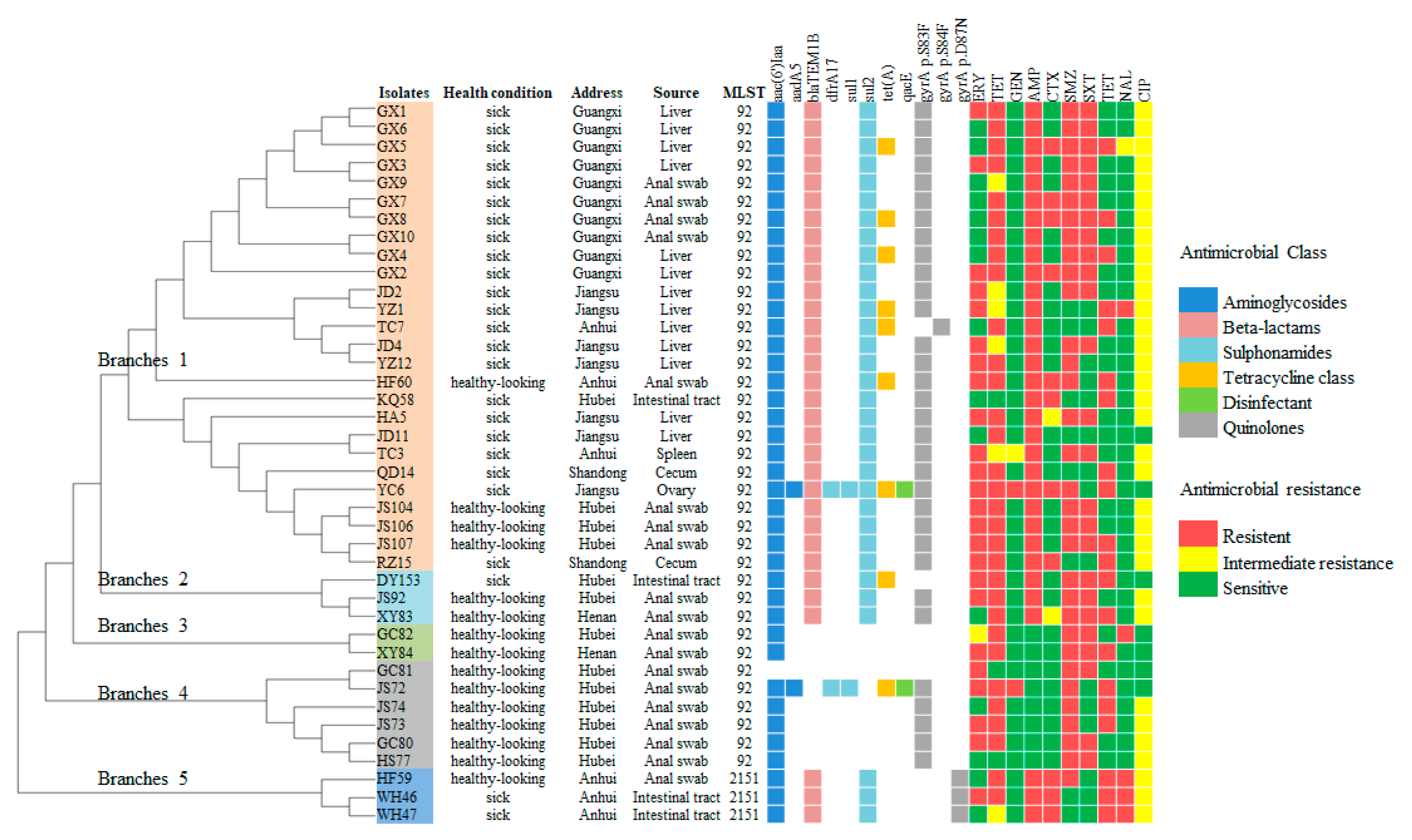 Animals 14 02675 g001