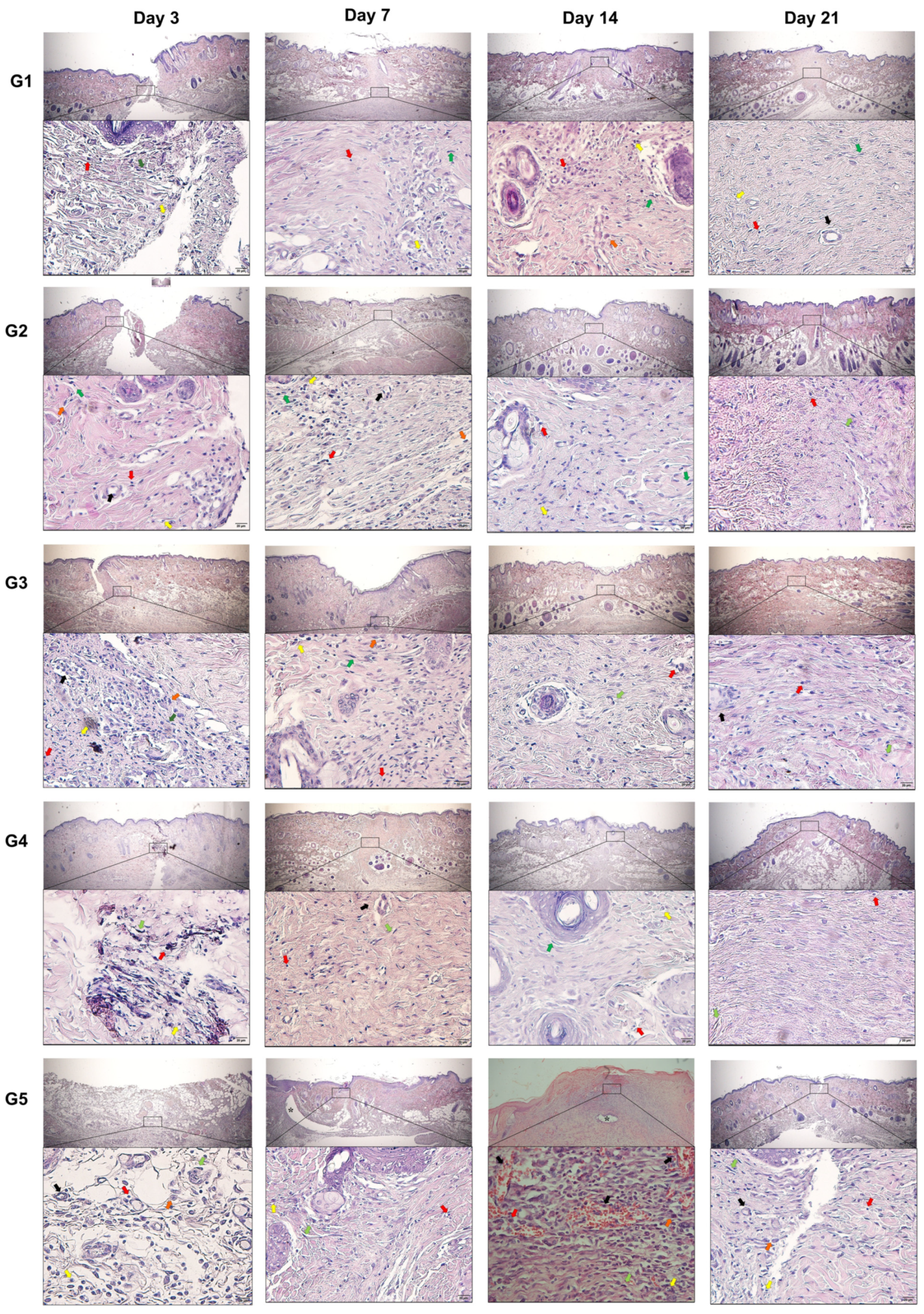 Animals 14 02678 g004