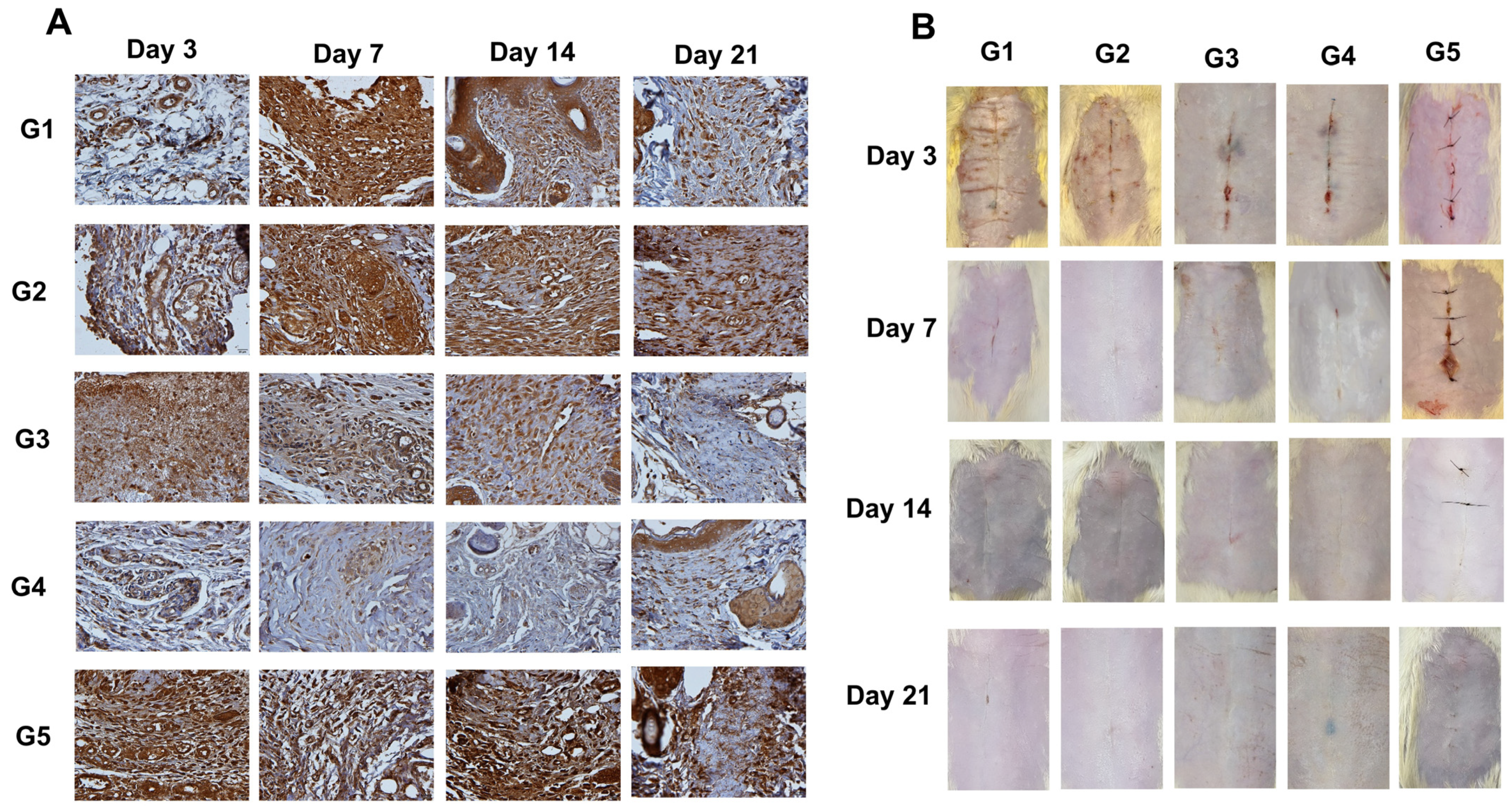 Animals 14 02678 g006