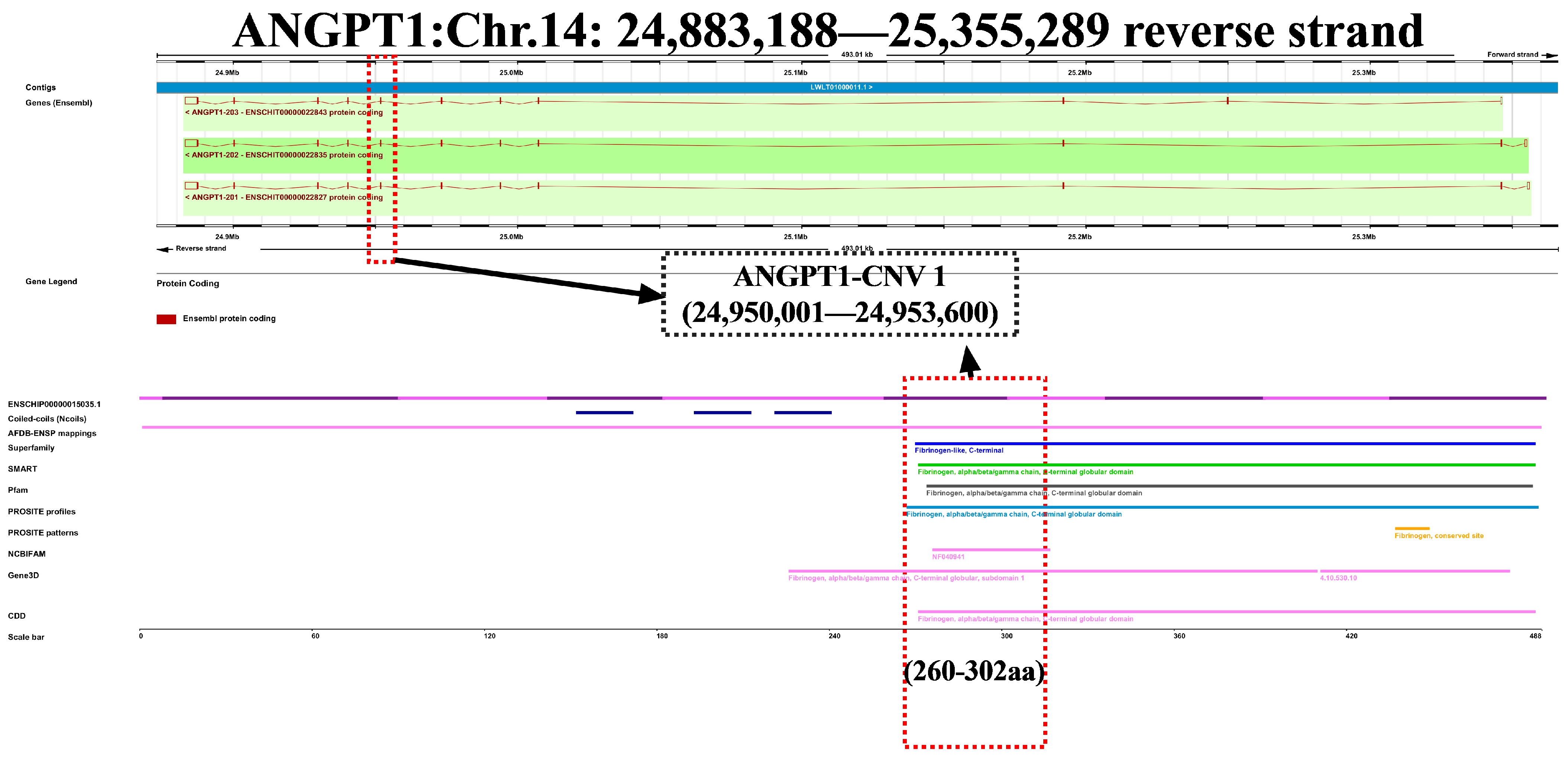 Animals 14 02682 g002