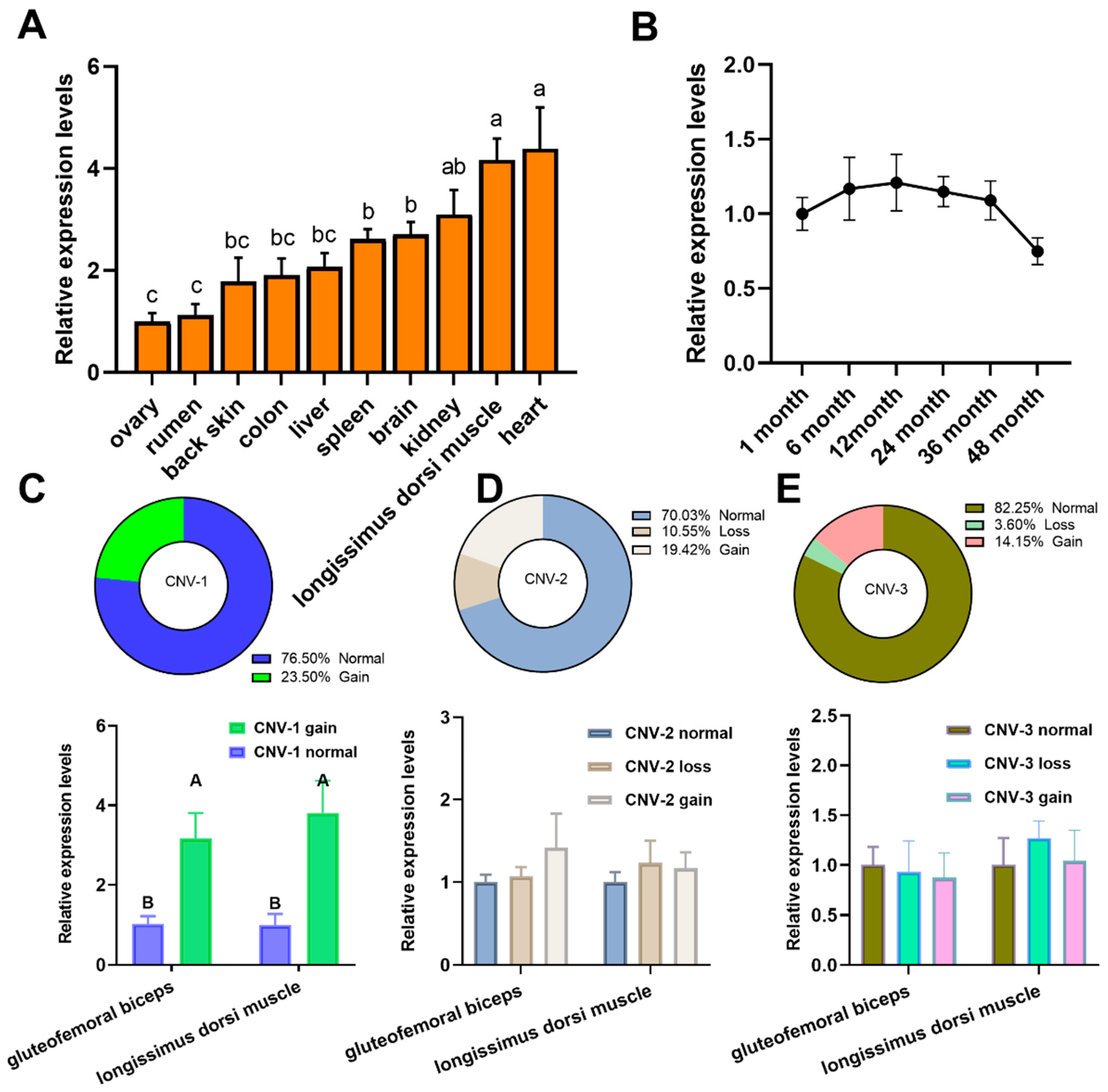 Animals 14 02682 g003