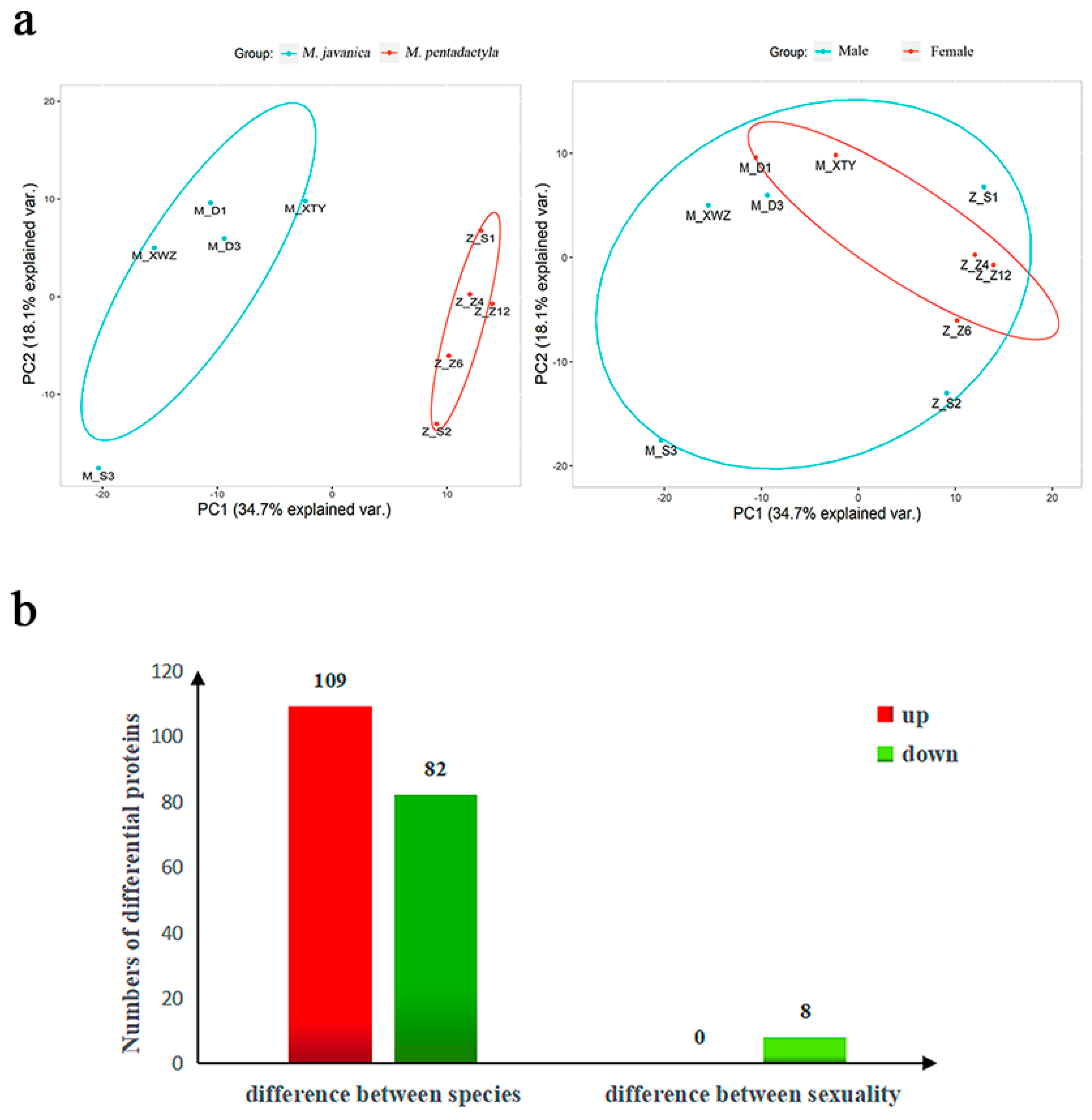 Animals 14 02683 g001