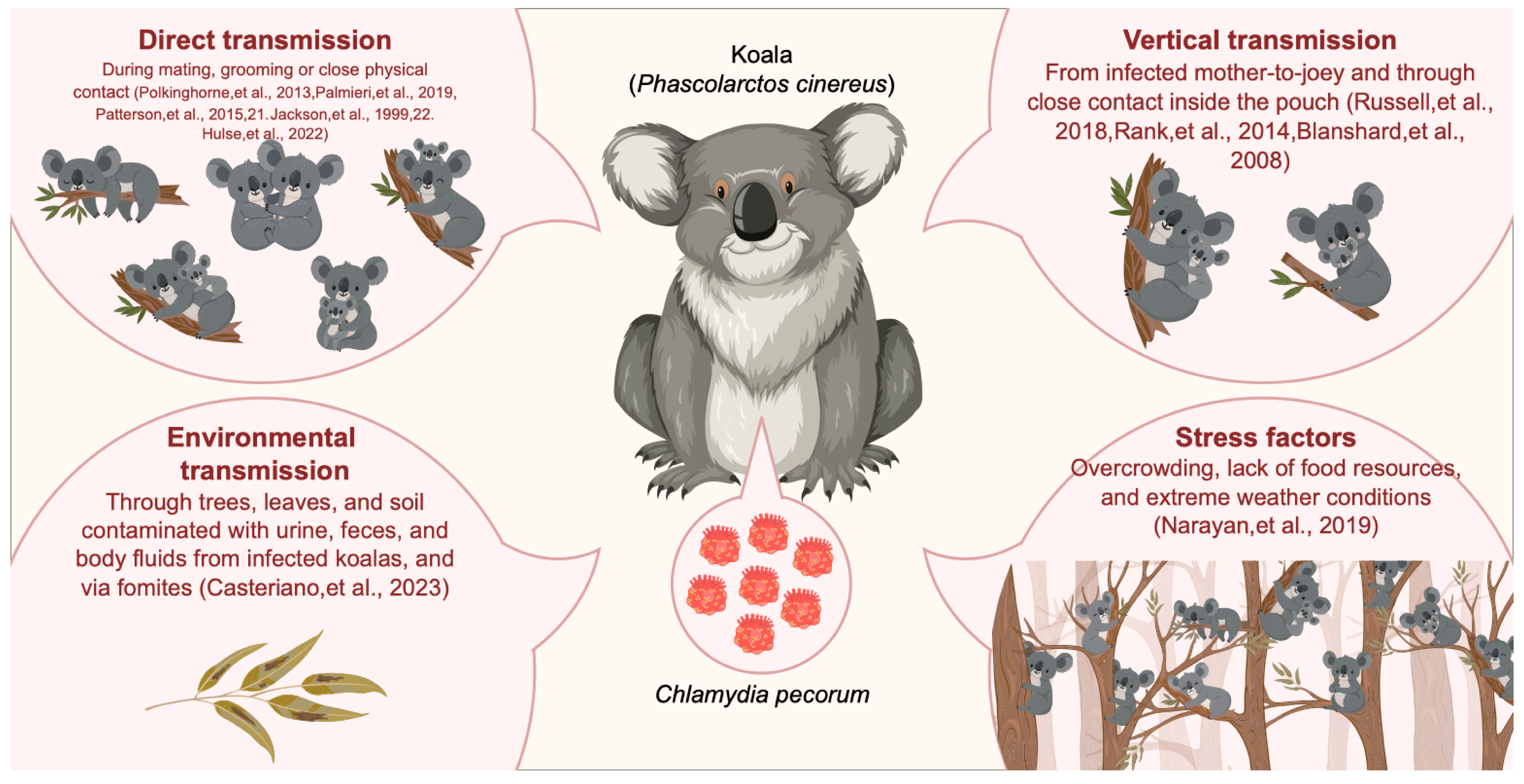 Animals 14 02686 g002