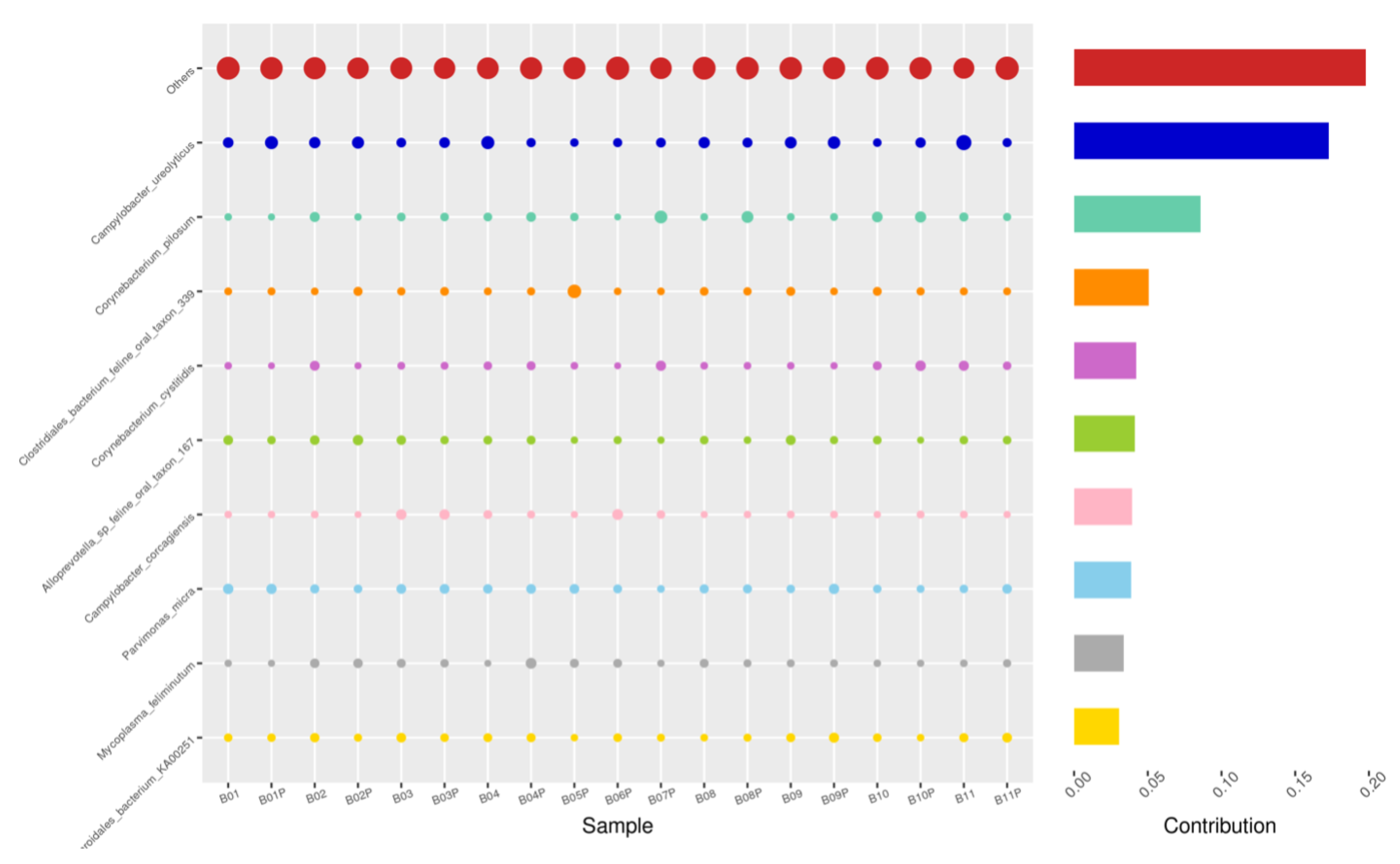 Animals 14 02689 g008