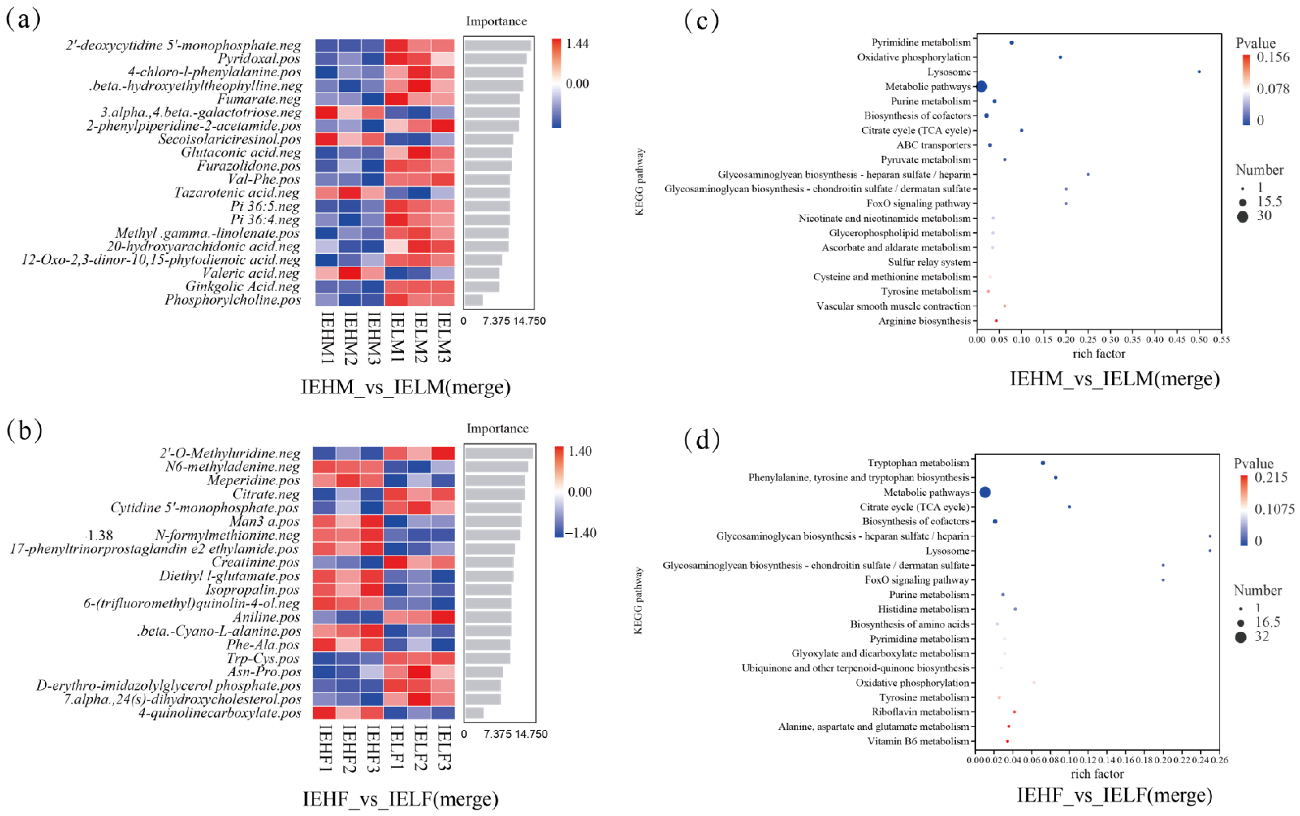 Animals 14 02690 g007