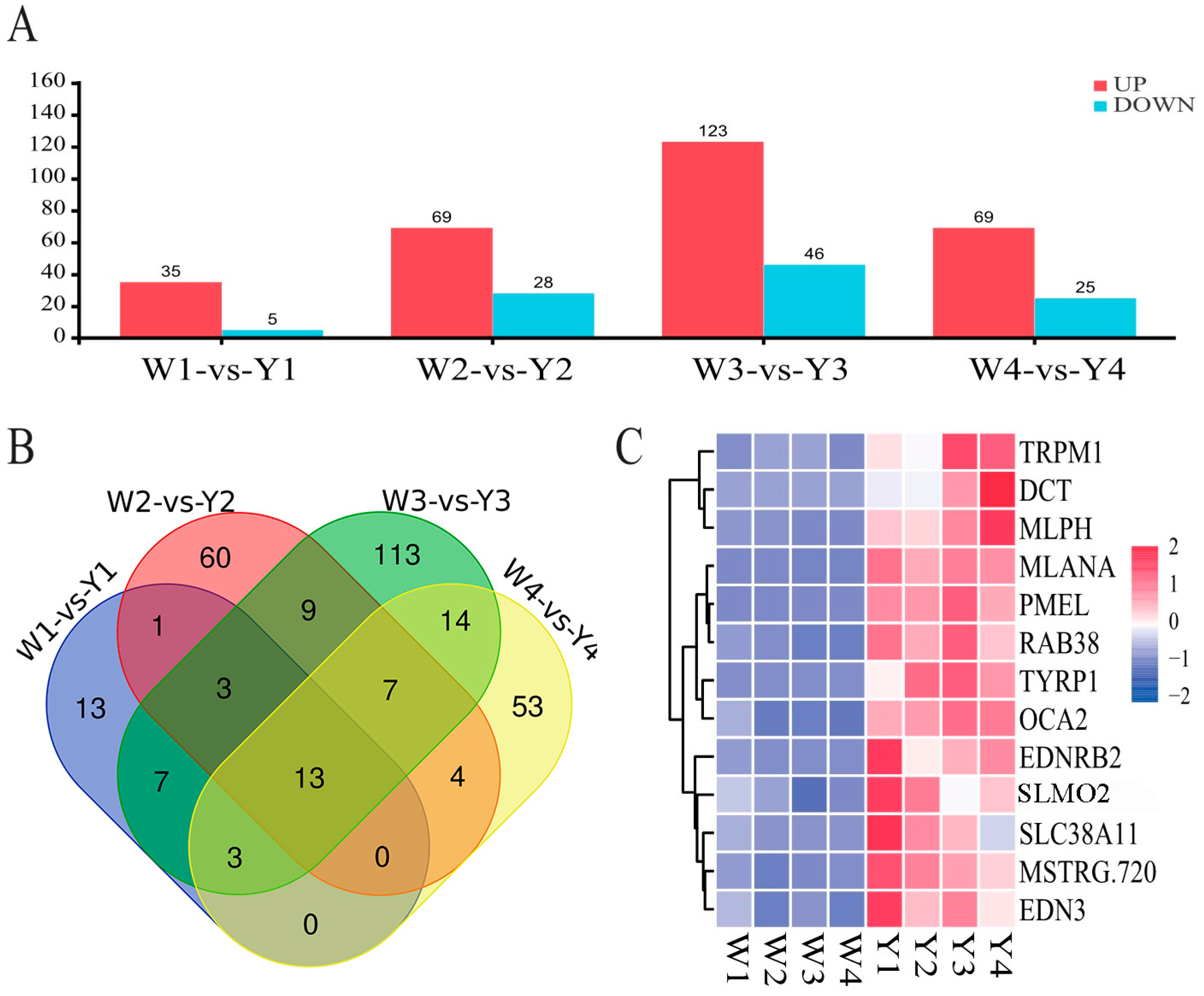 Animals 14 02702 g002