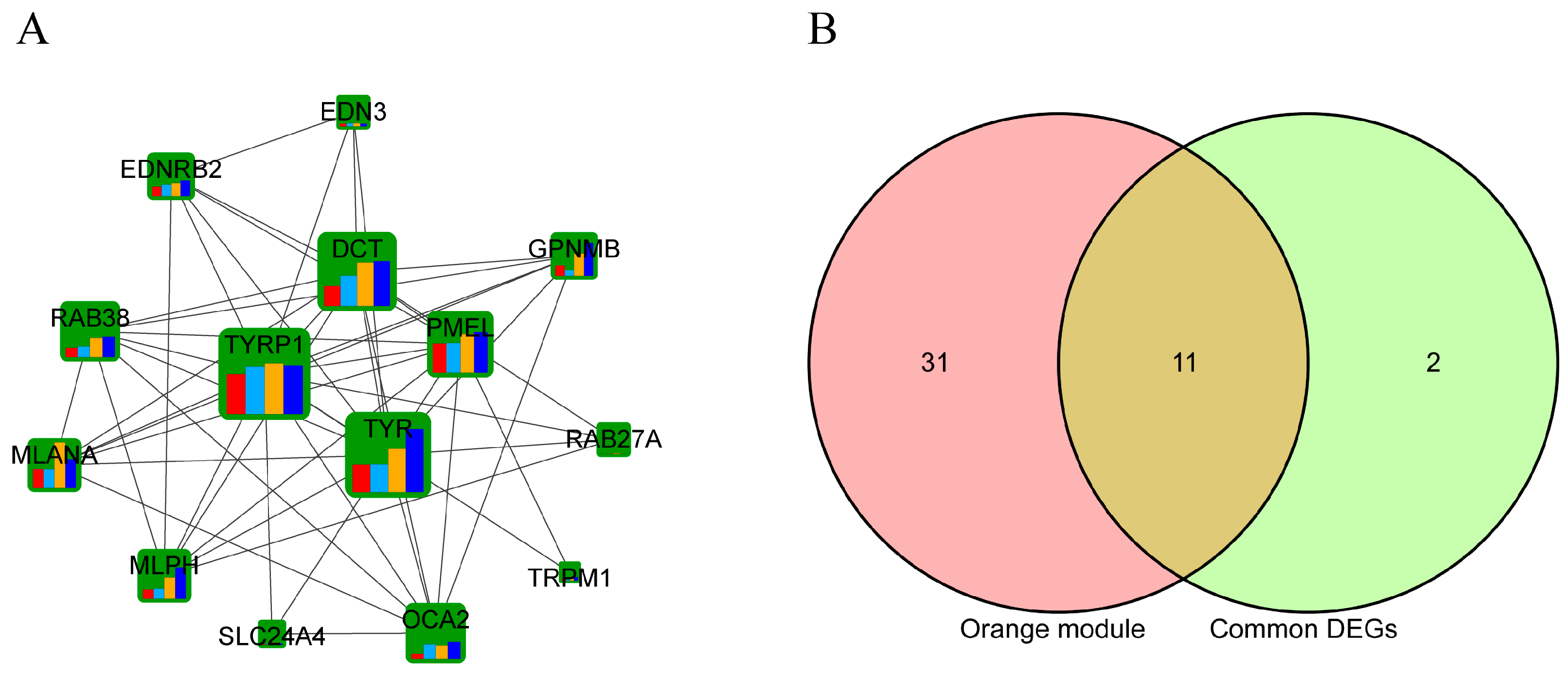 Animals 14 02702 g006