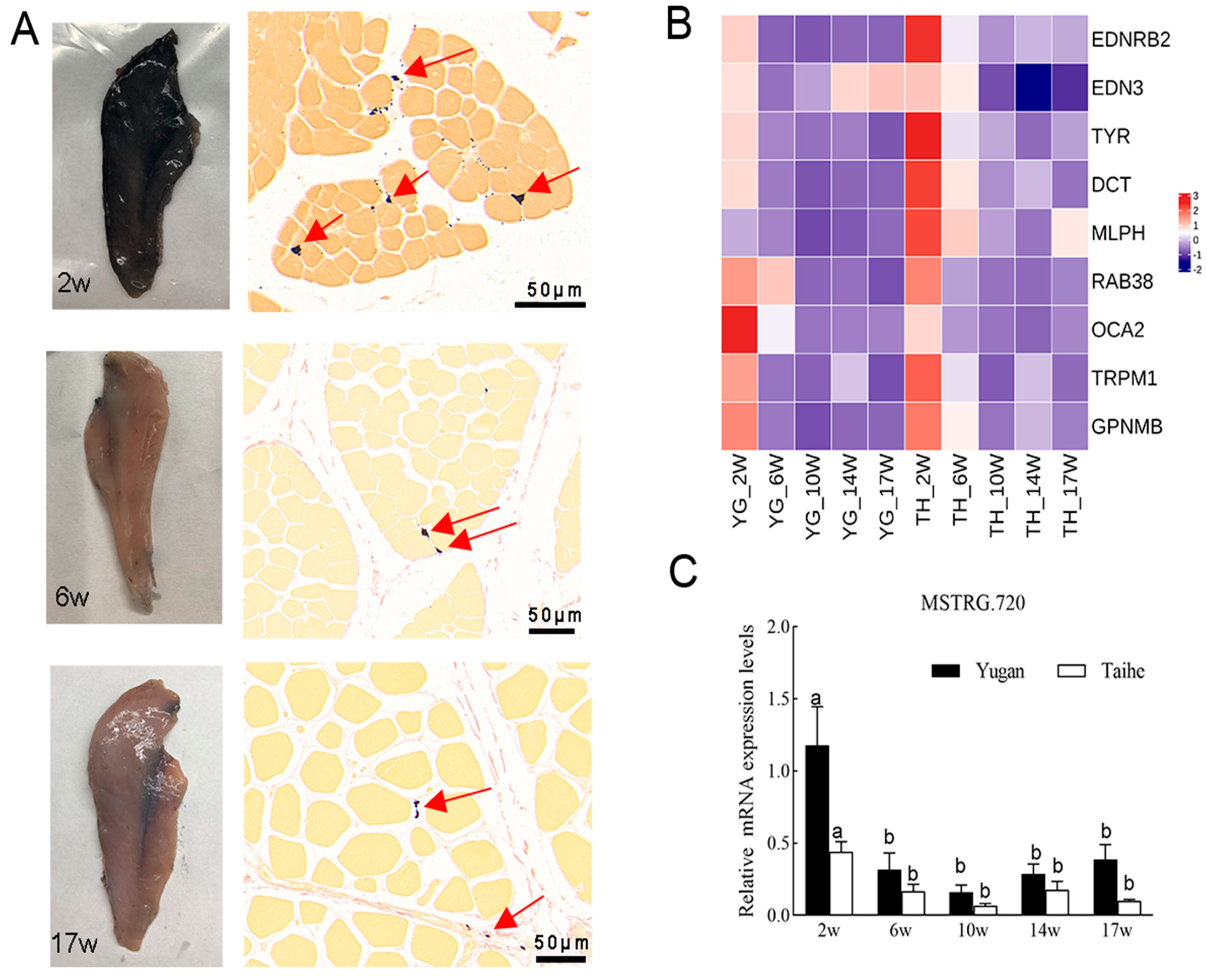 Animals 14 02702 g007