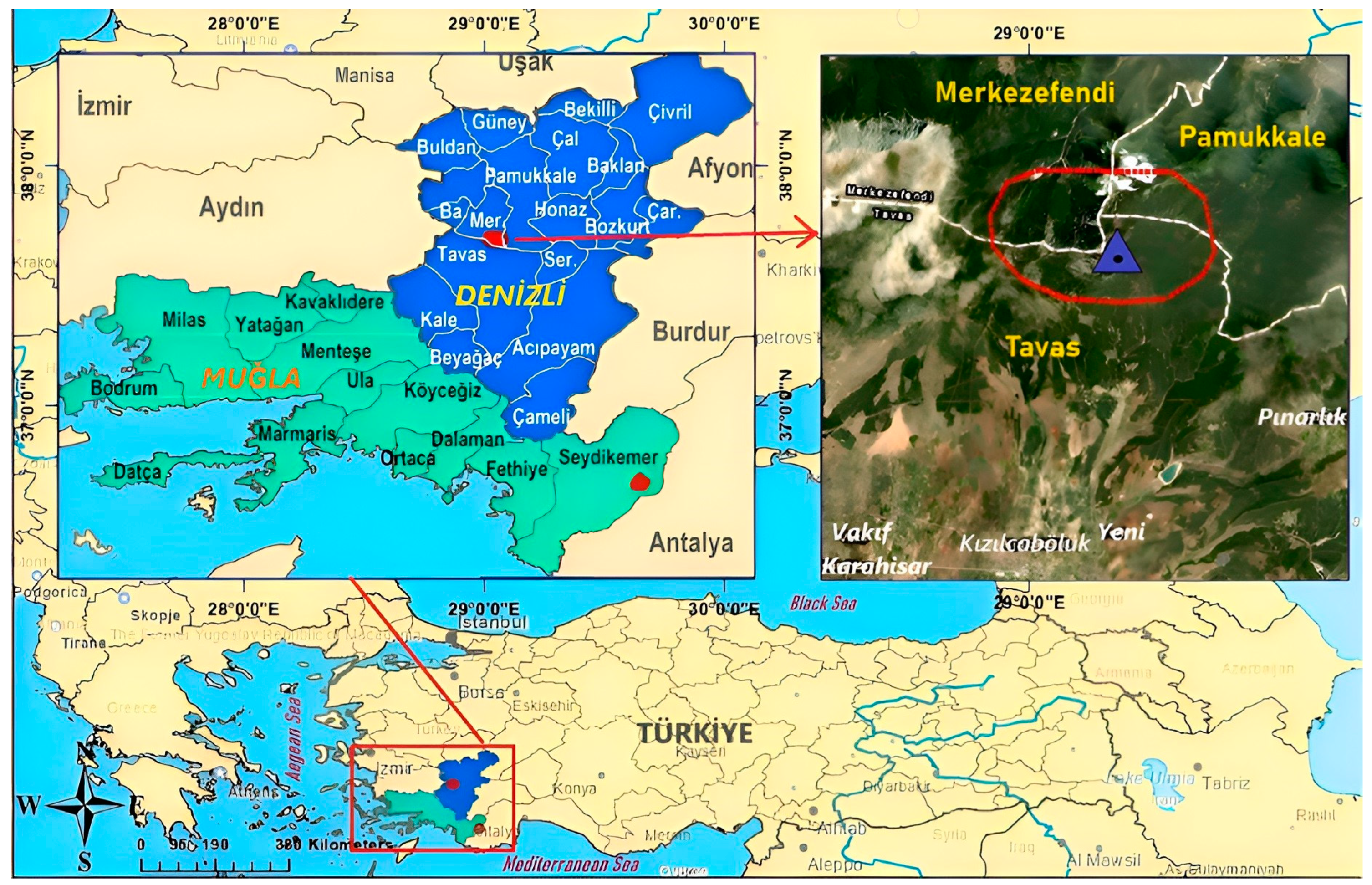 Animals 14 02703 g001