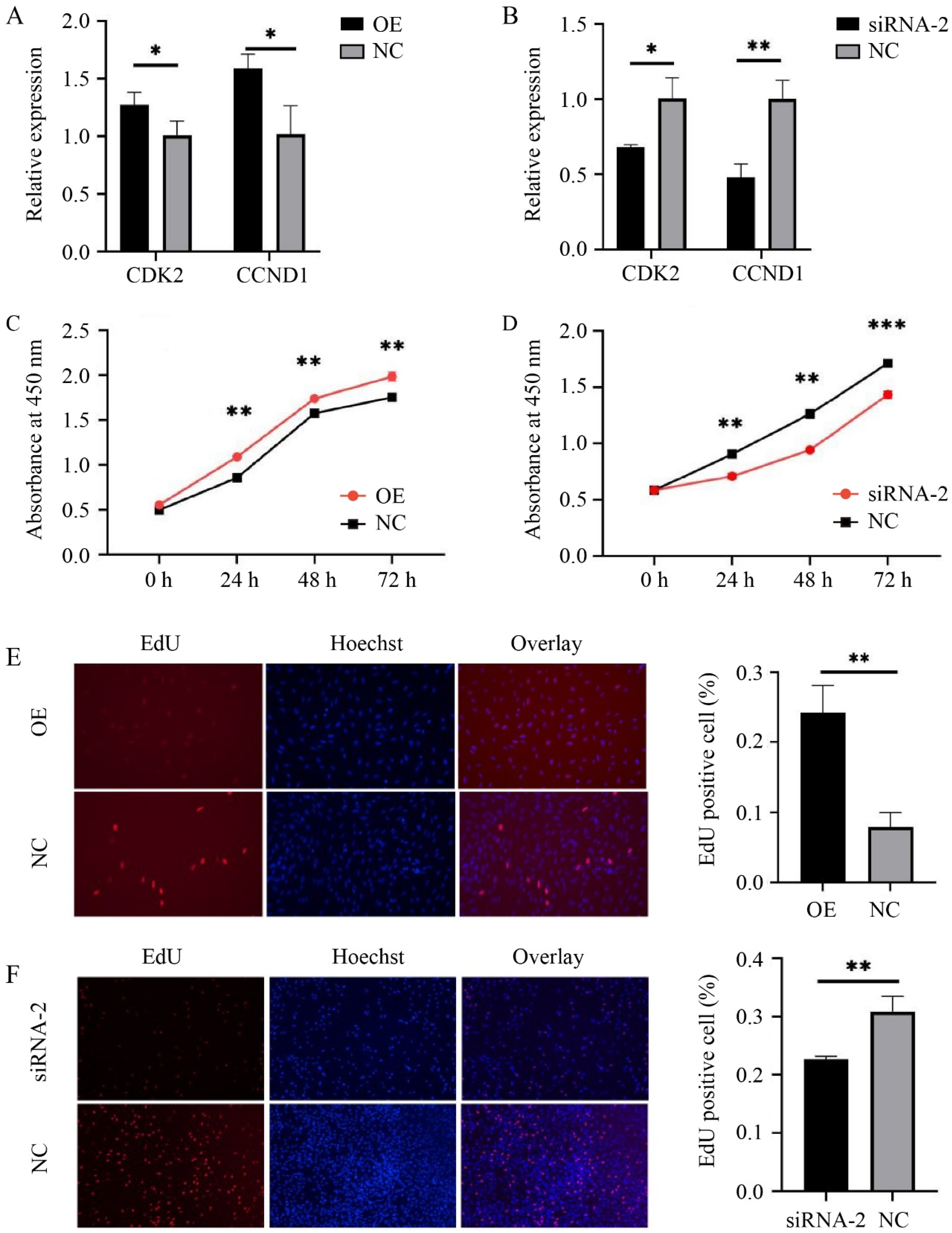 Animals 14 02721 g002 Animals 14 02721 g002
