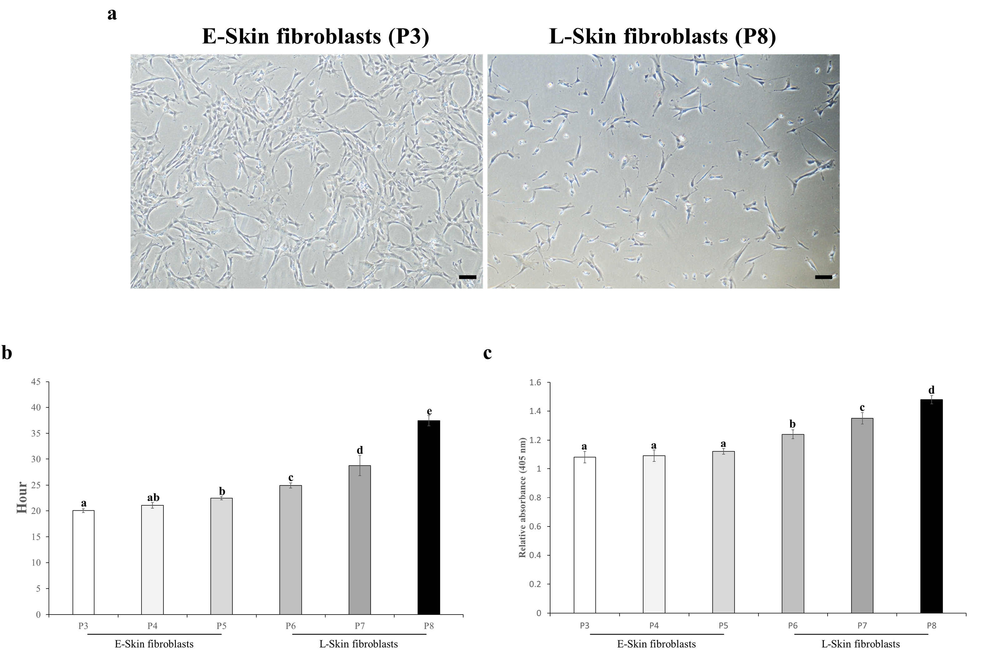 Animals 14 02722 g001