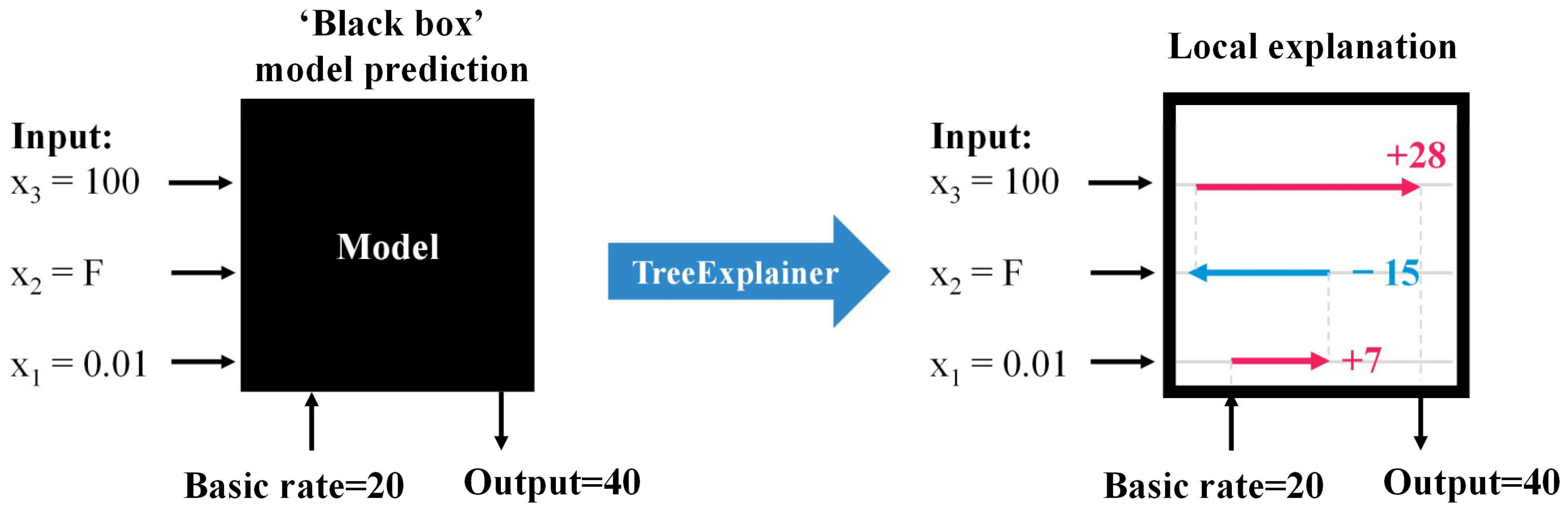 Animals 14 02724 g004 Animals 14 02724 g004