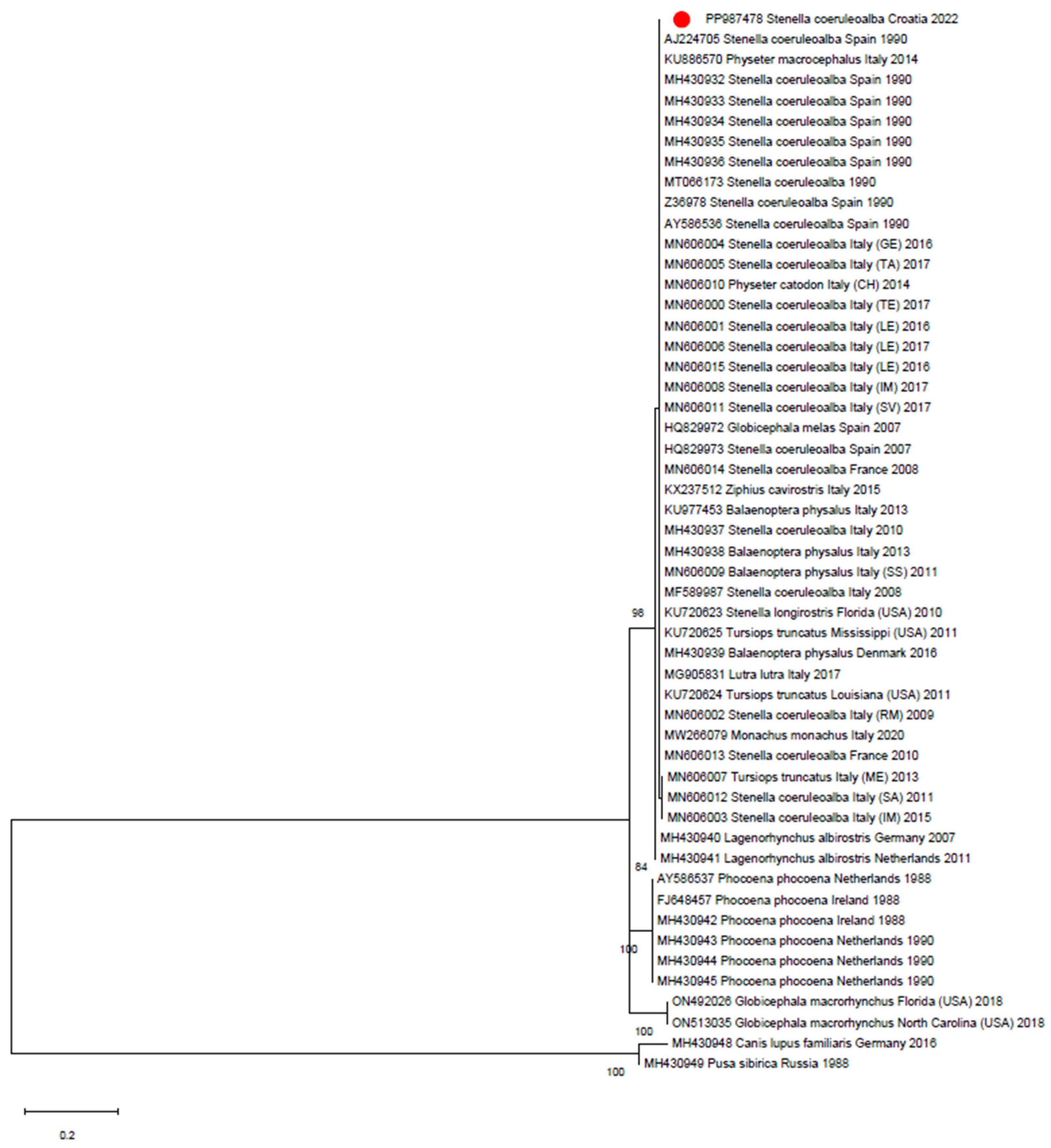 Animals 14 02725 g001