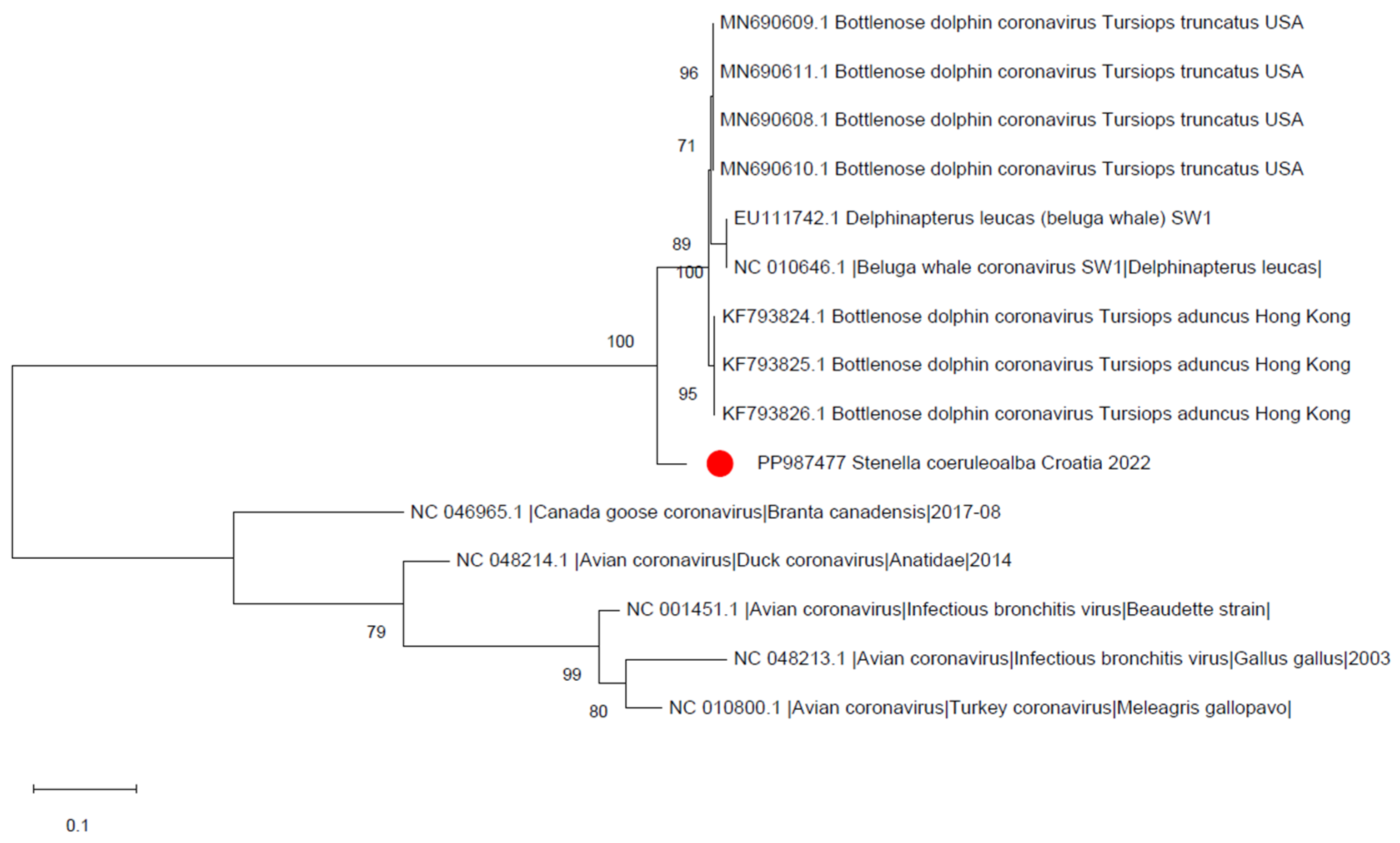 Animals 14 02725 g002