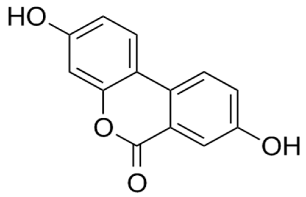 Animals 14 02726 g001 Animals 14 02726 g001