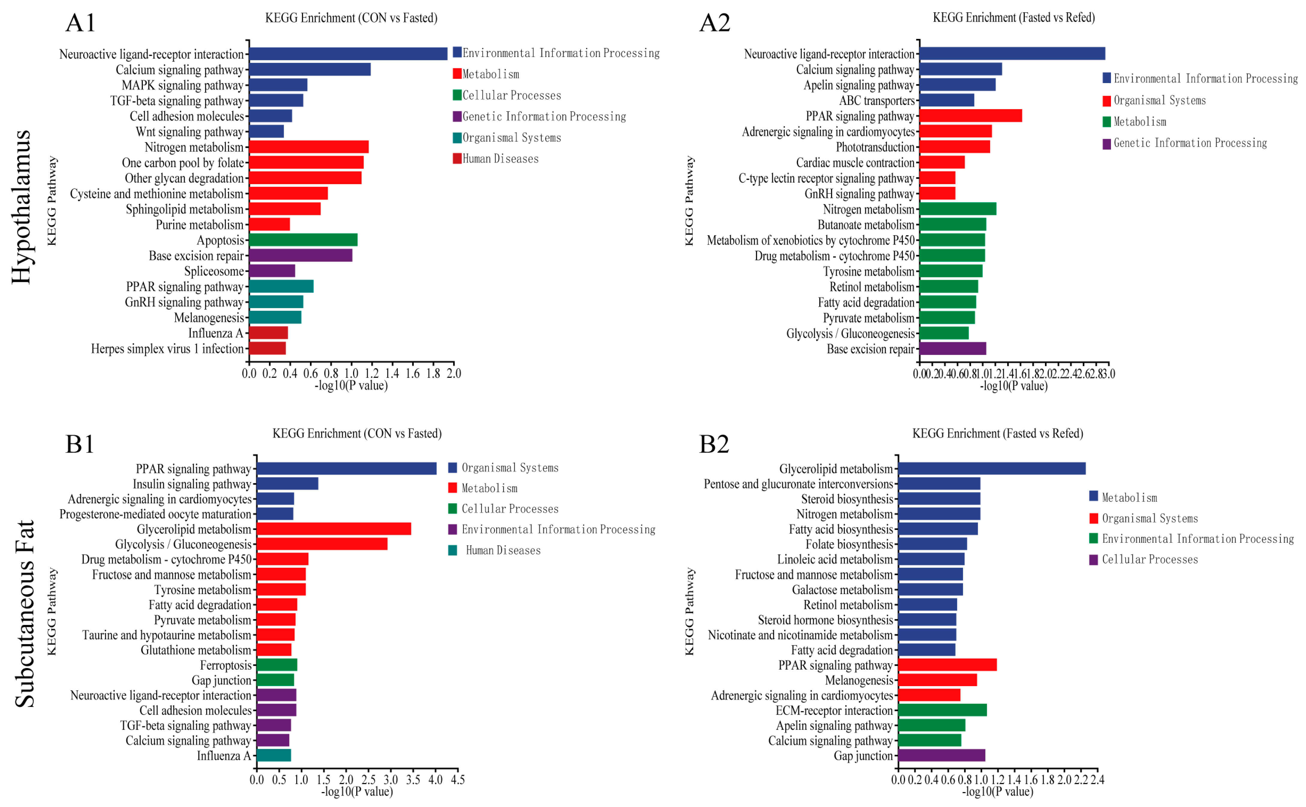 Animals 14 02746 g006 Animals 14 02746 g006