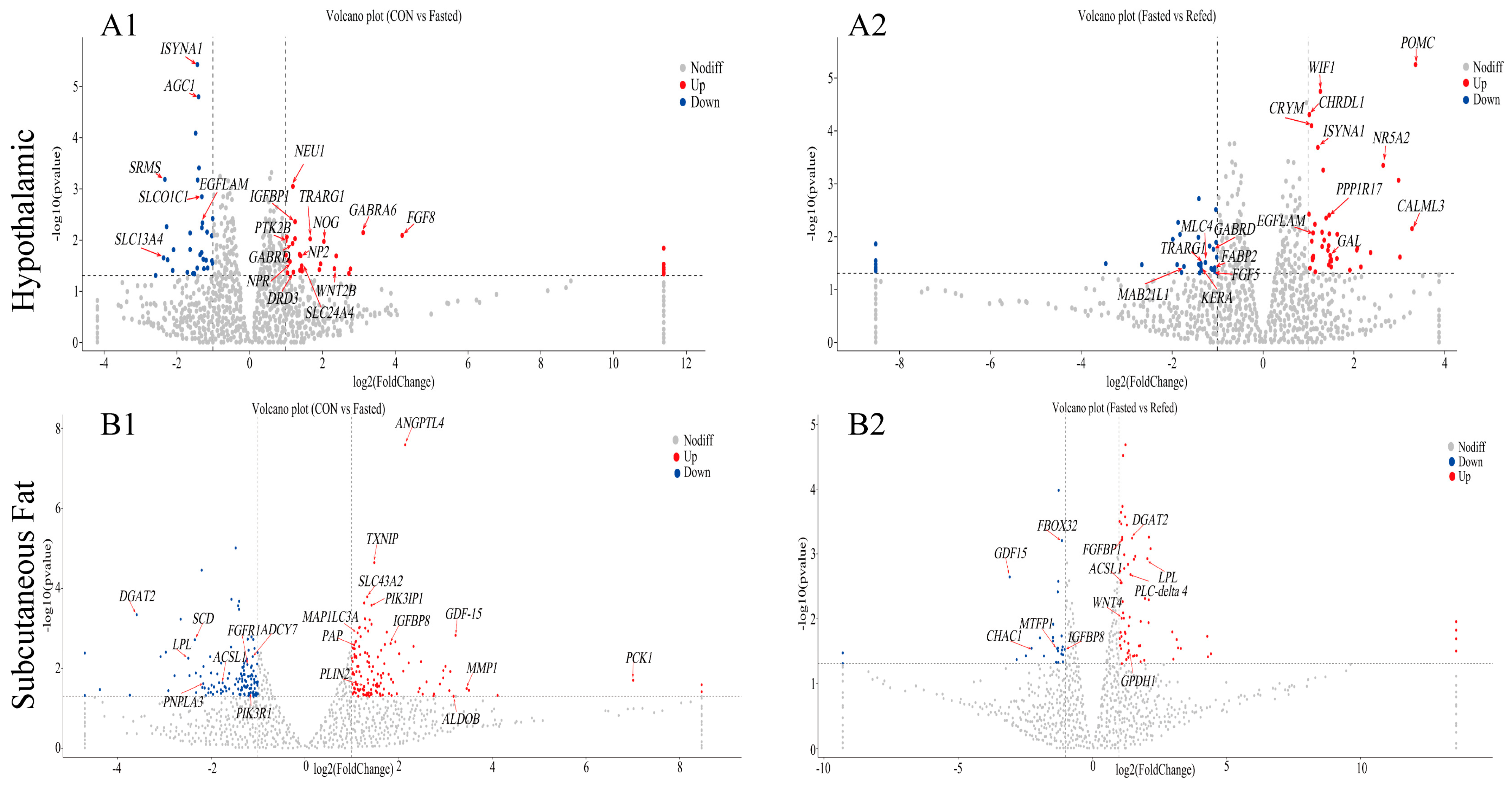 Animals 14 02746 g007 Animals 14 02746 g007
