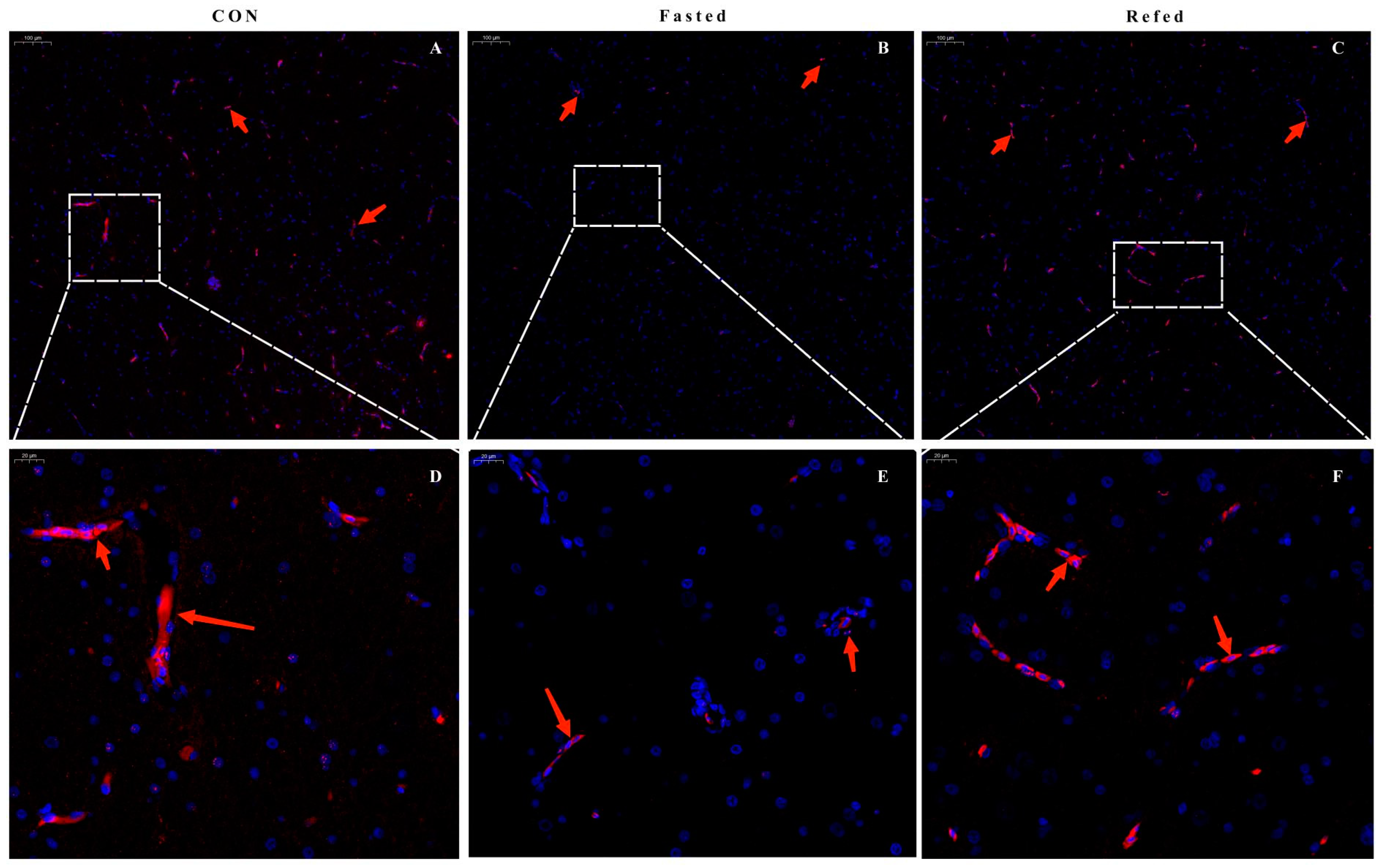 Animals 14 02746 g009 Animals 14 02746 g009