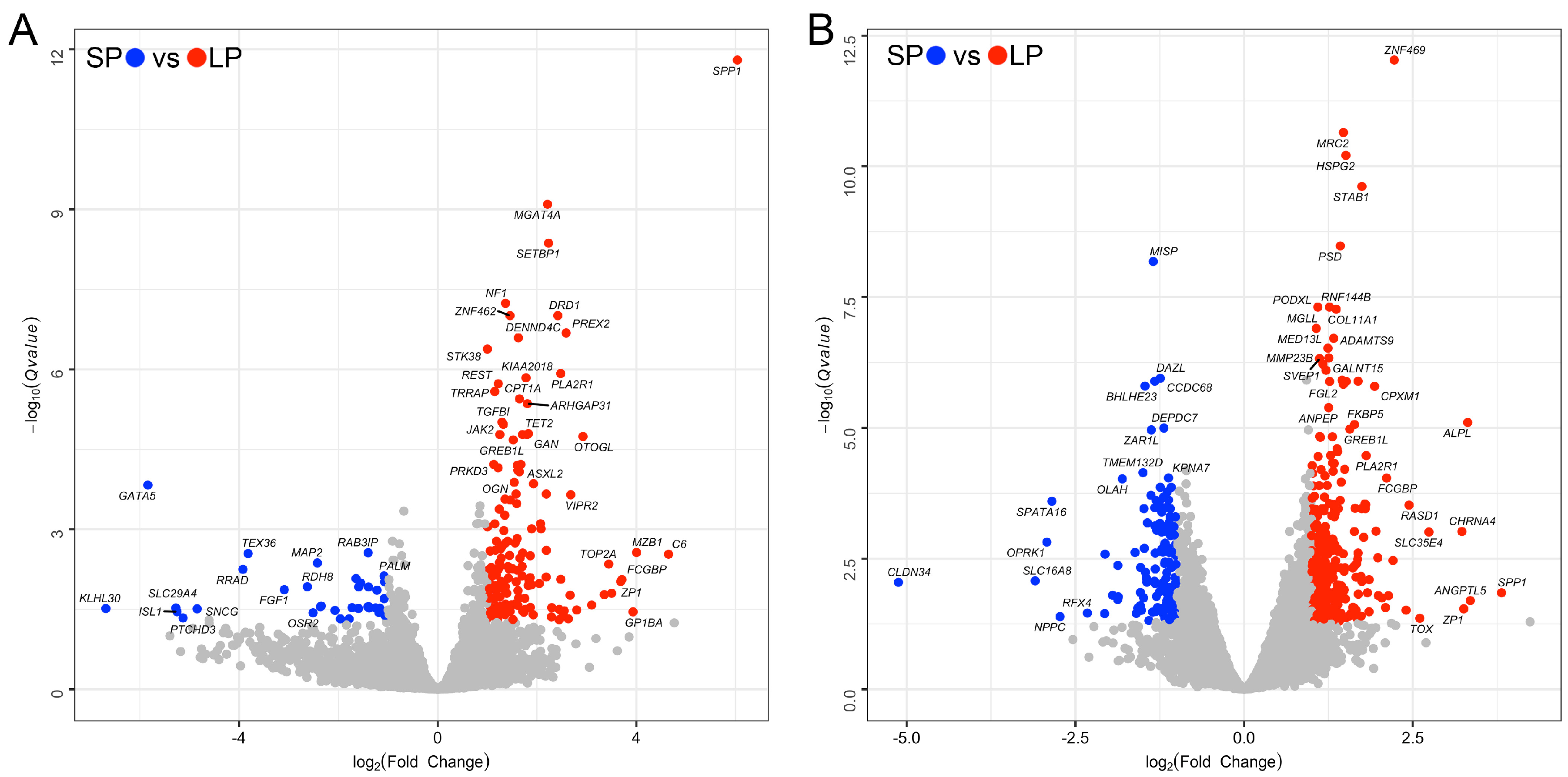 Animals 14 02747 g001 Animals 14 02747 g001