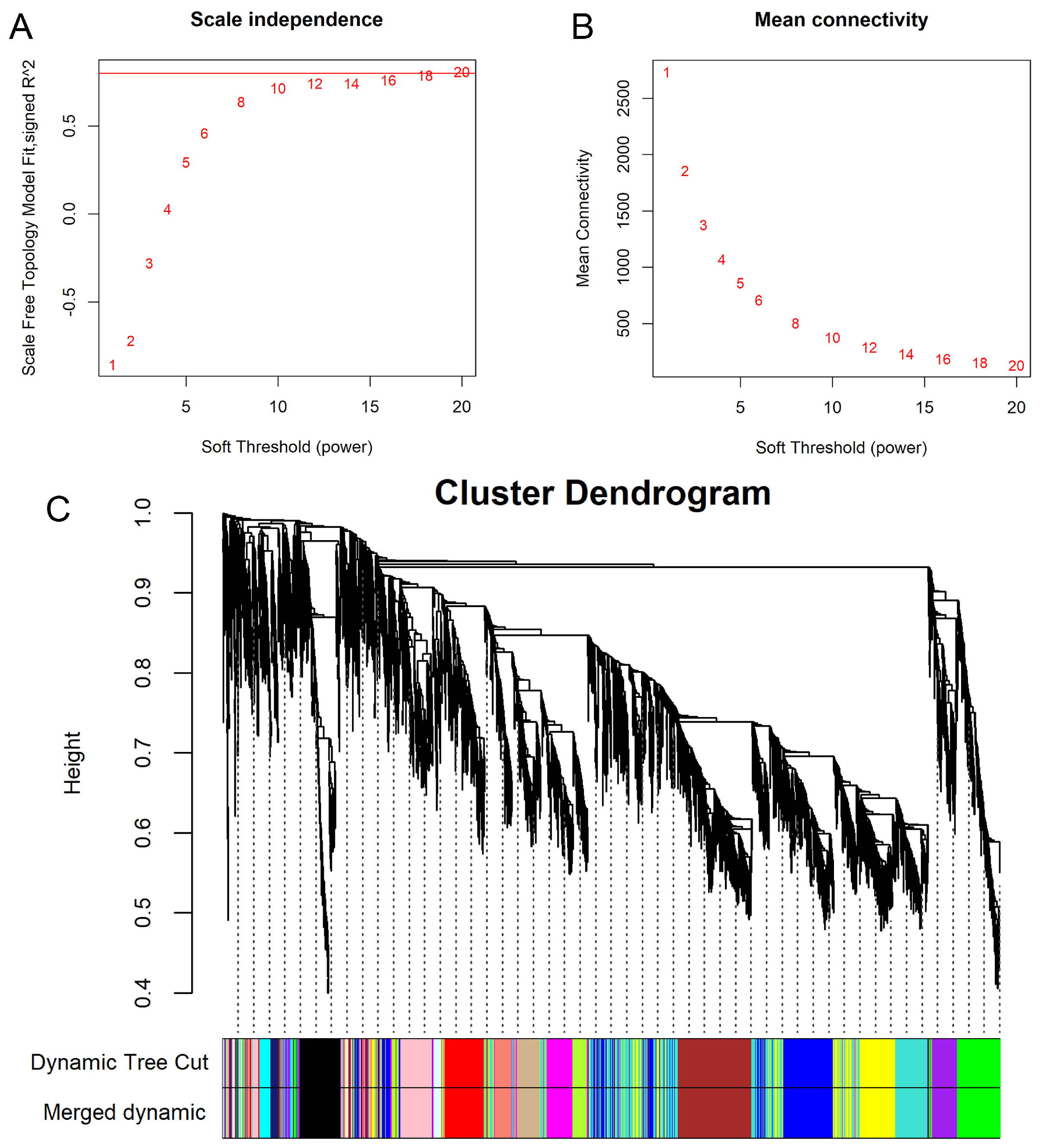 Animals 14 02747 g004 Animals 14 02747 g004