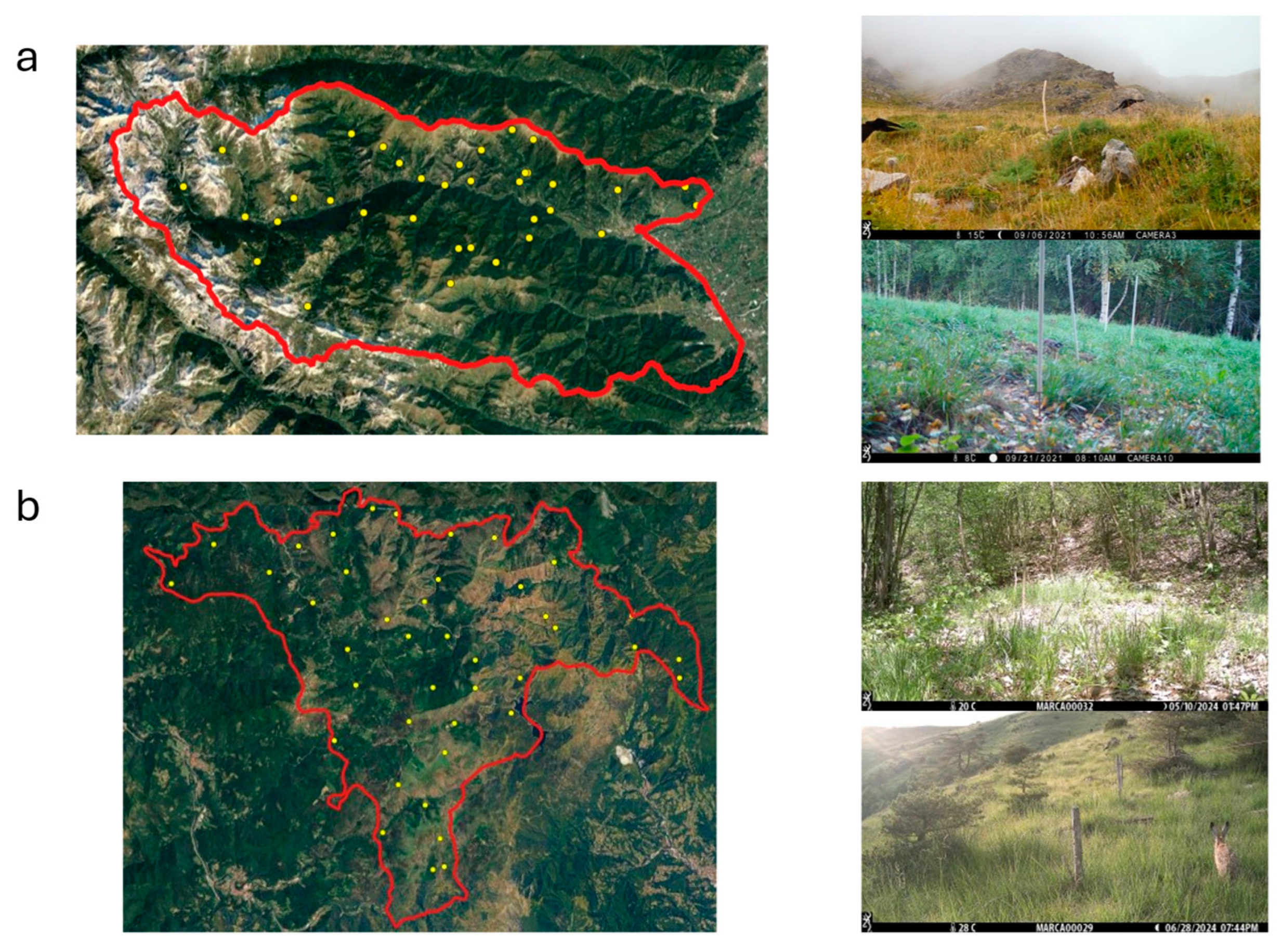 Animals 14 02749 g001