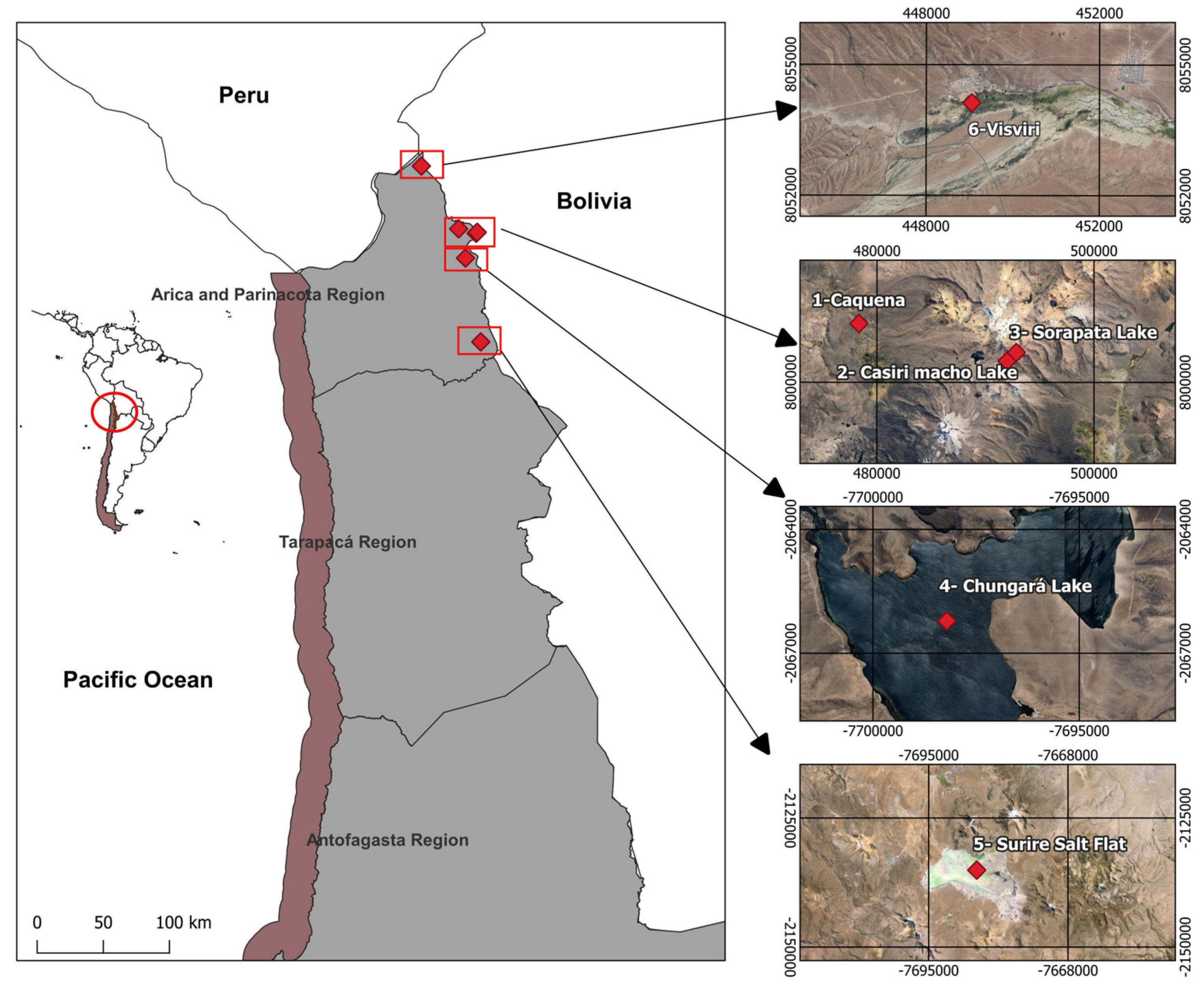 Animals 14 02758 g001