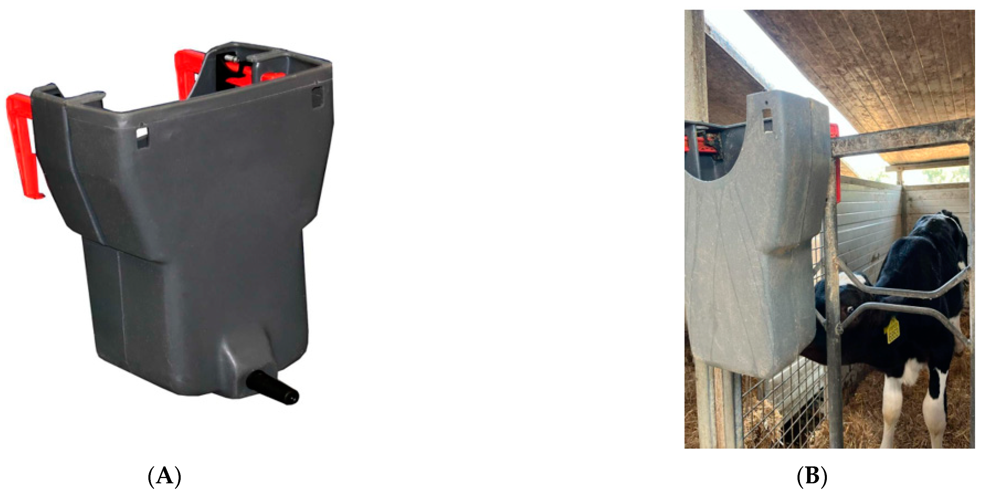 Animals 14 02759 g001