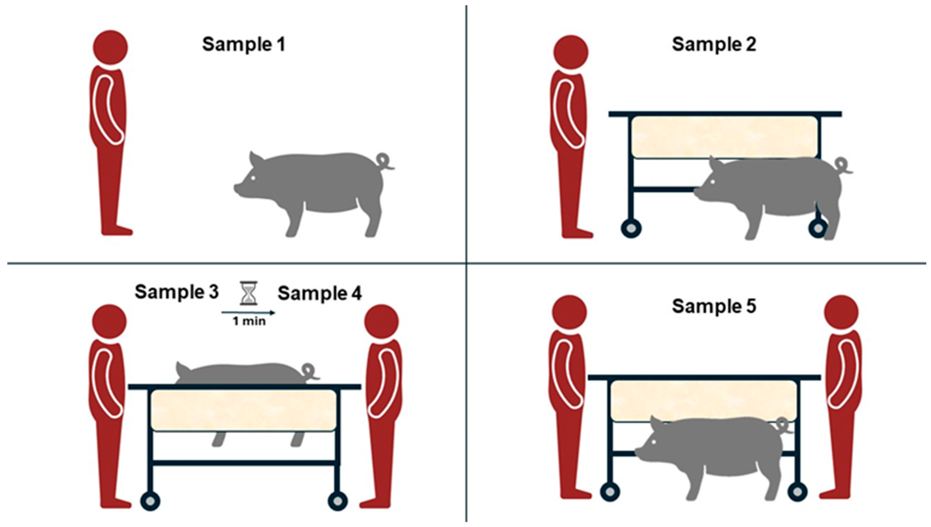 Animals 14 02760 g002