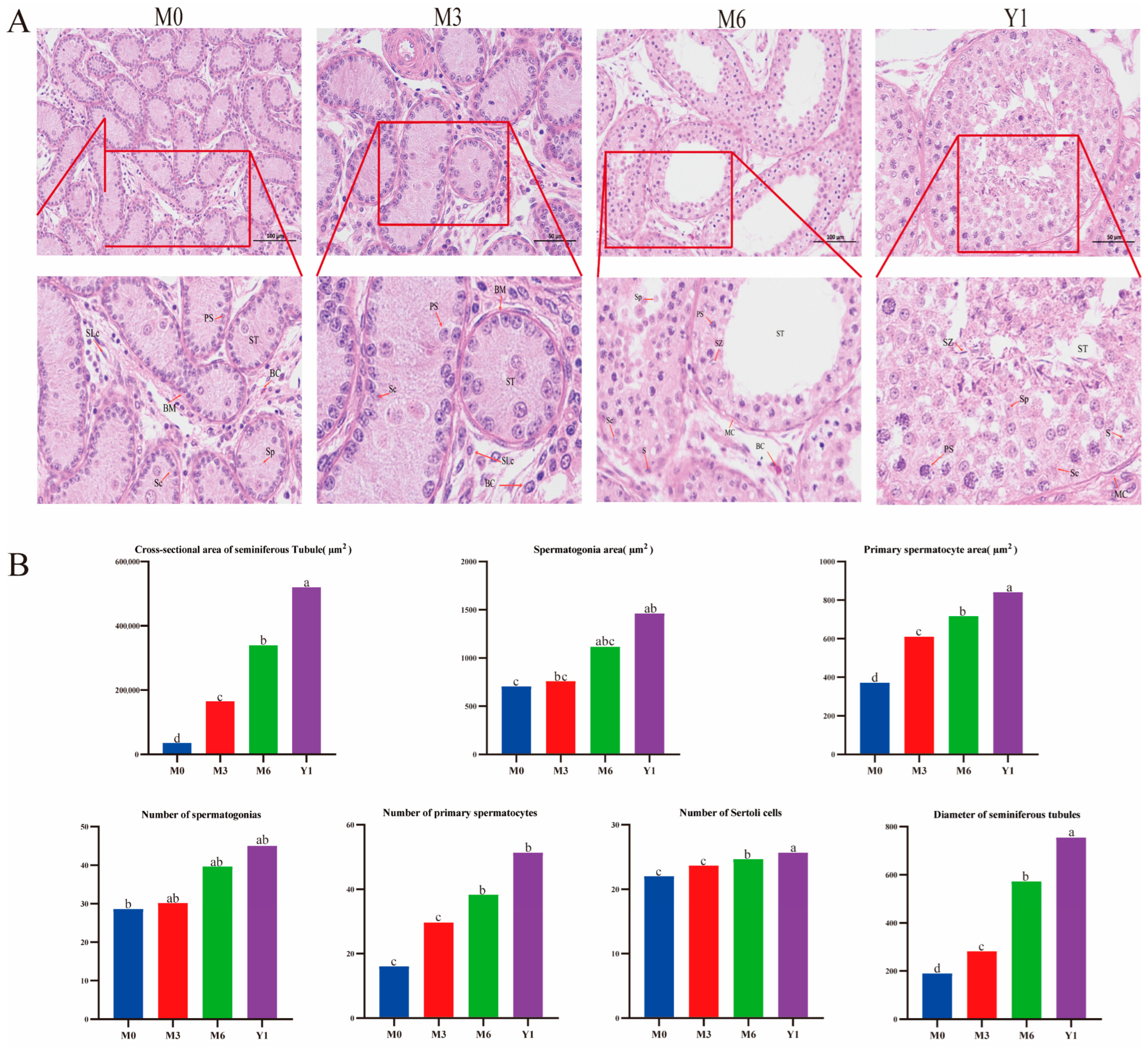 Animals 14 02767 g001 Animals 14 02767 g001