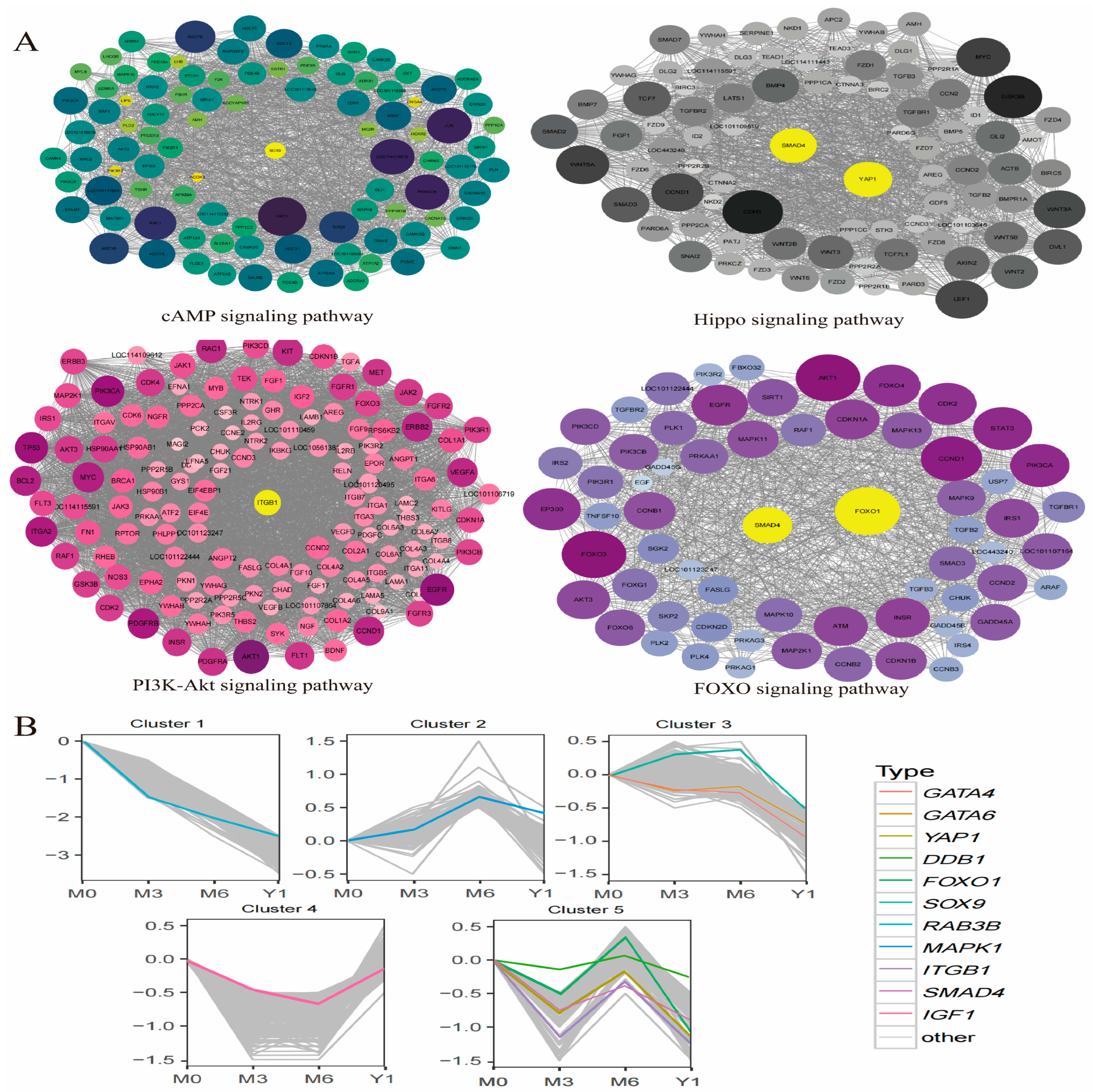 Animals 14 02767 g005 Animals 14 02767 g005