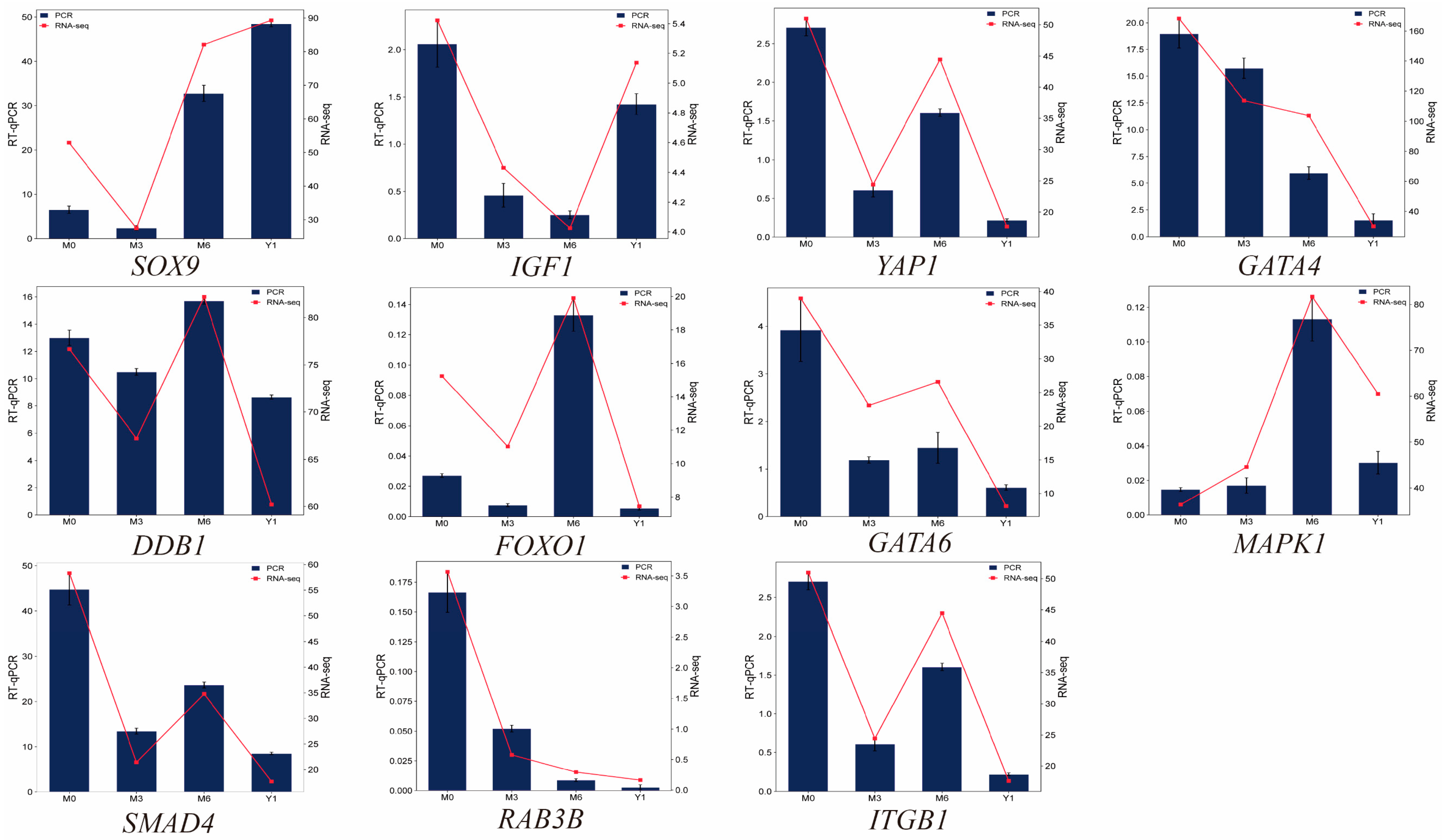 Animals 14 02767 g006 Animals 14 02767 g006