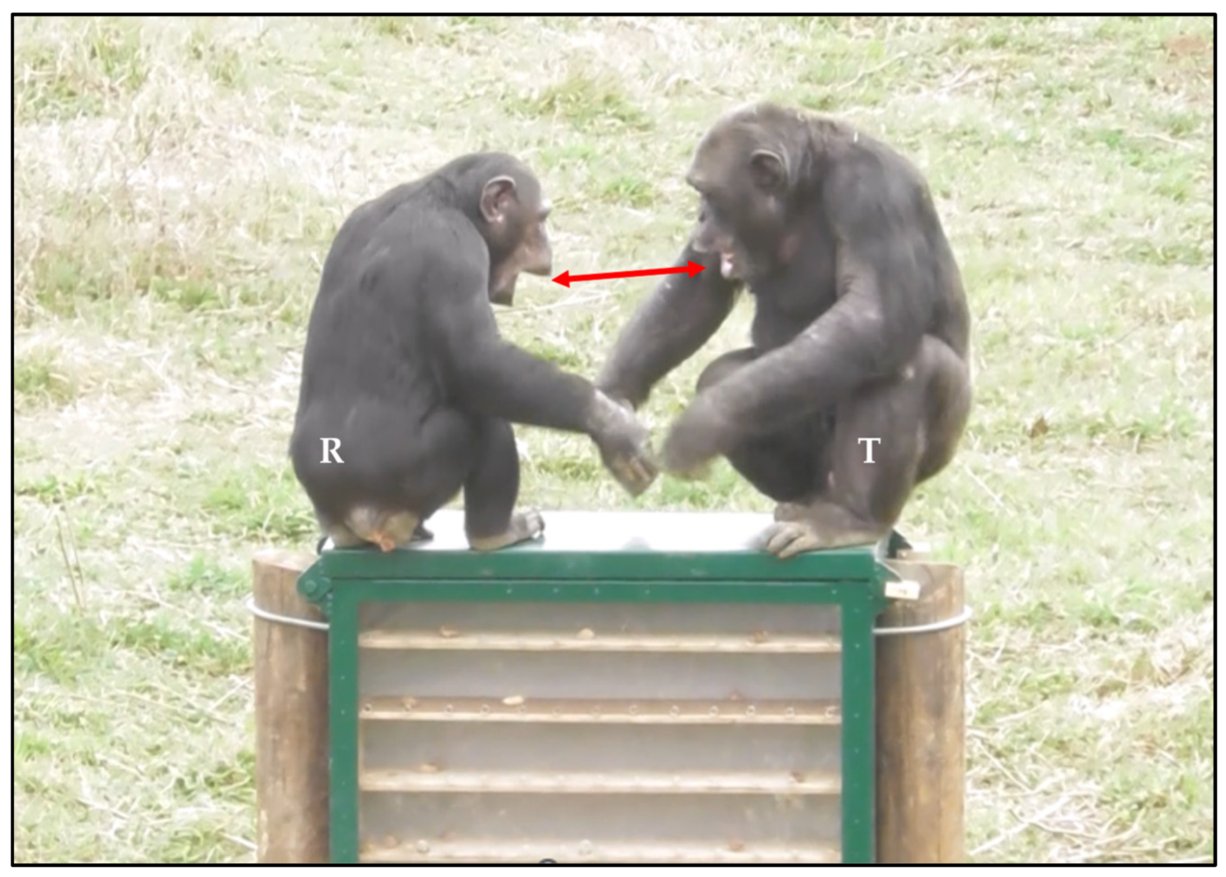 Animals 14 02769 g006