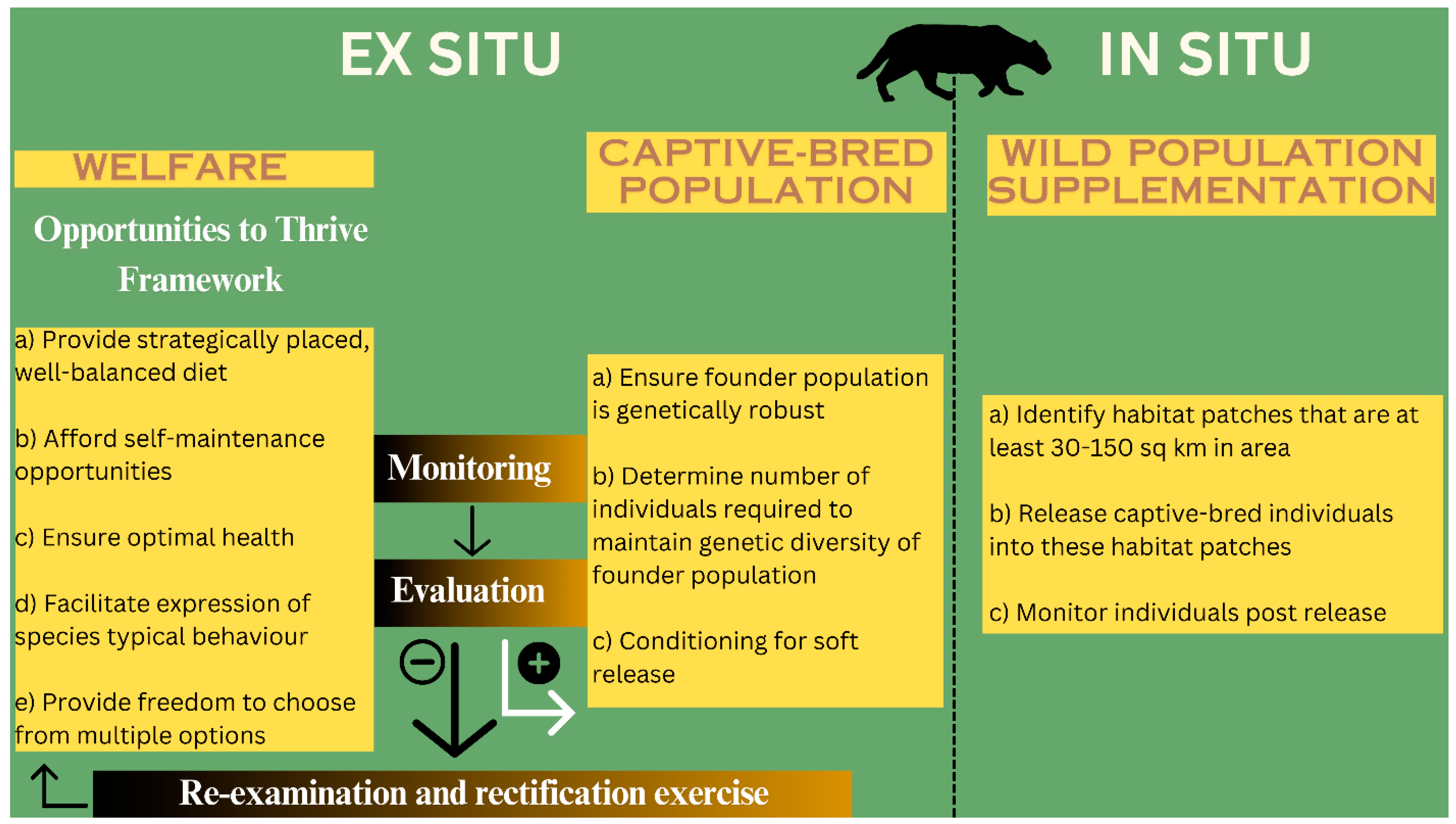 Animals 14 02770 g001