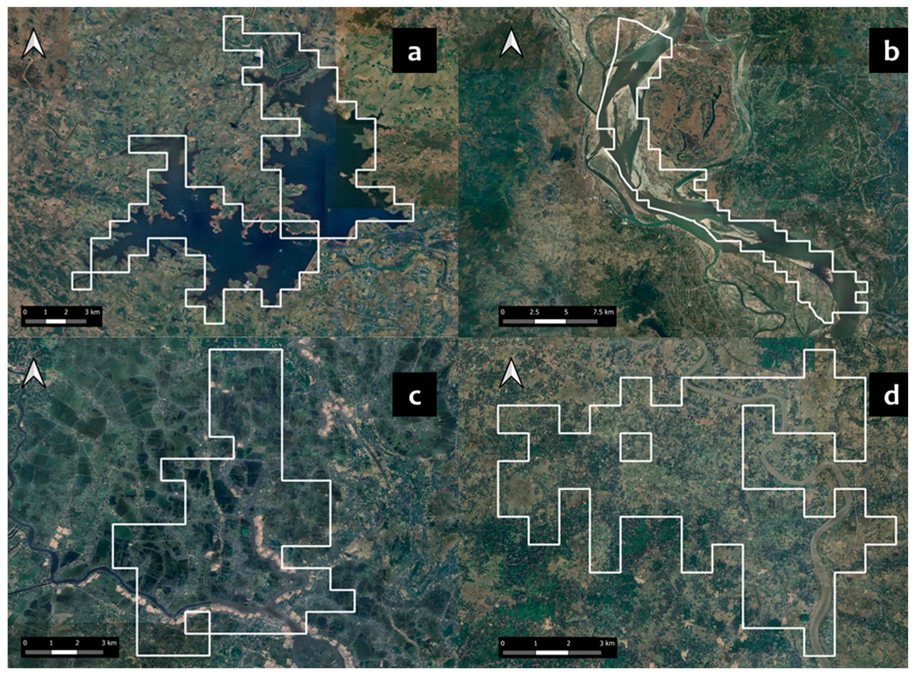 Animals 14 02770 g005