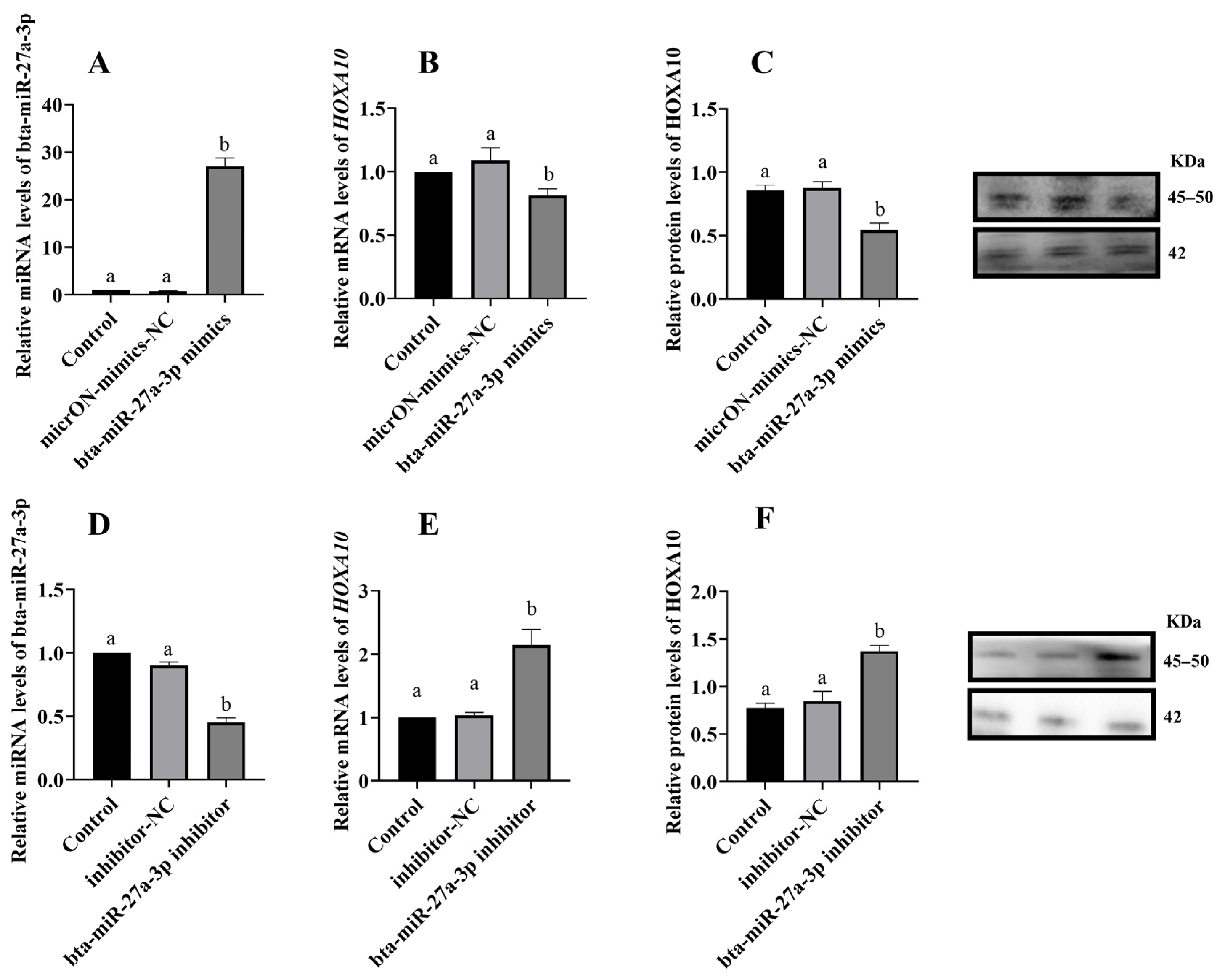 Animals 14 02771 g007