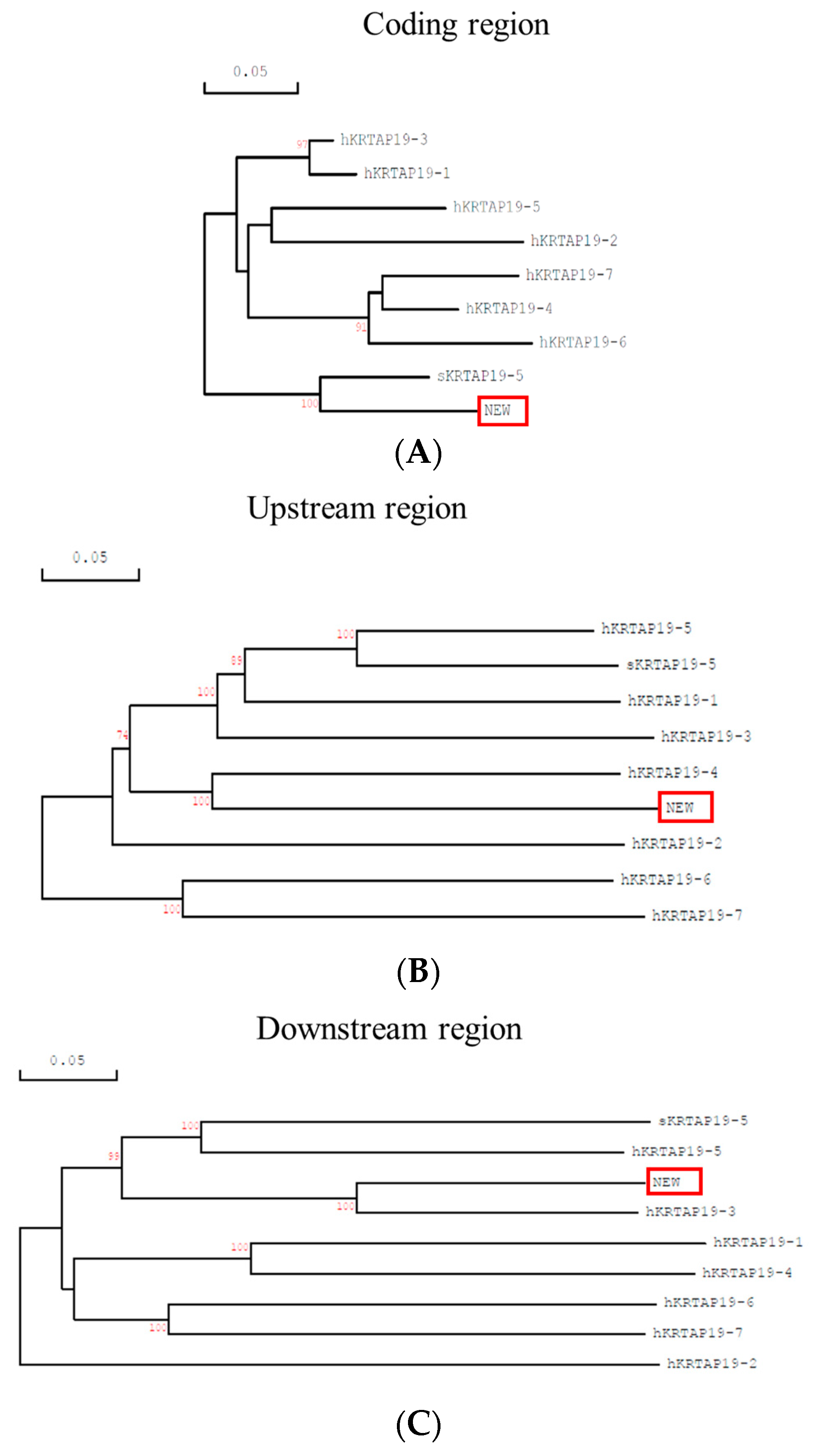 Animals 14 02772 g001