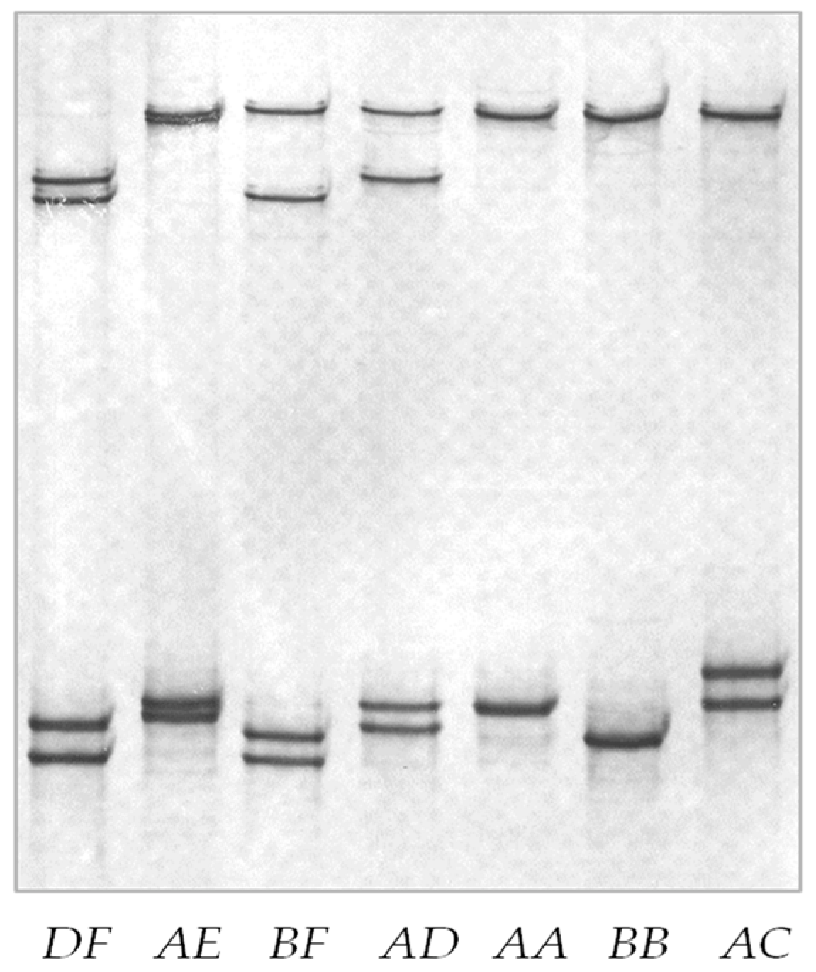 Animals 14 02772 g002