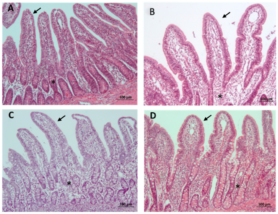 Animals 14 02779 g003